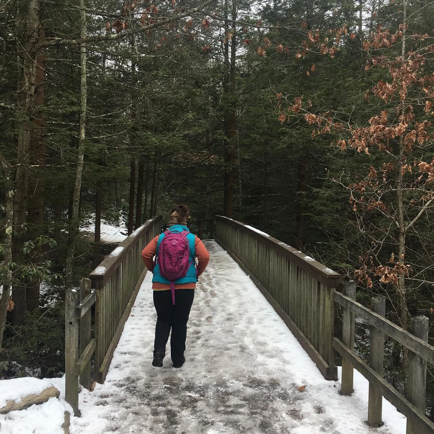 Hike in the winter at #seventubsnaturearea up in #wilkesbarrepa #nature #pedalstoshinsbrand #hike #nature @ospreypacks