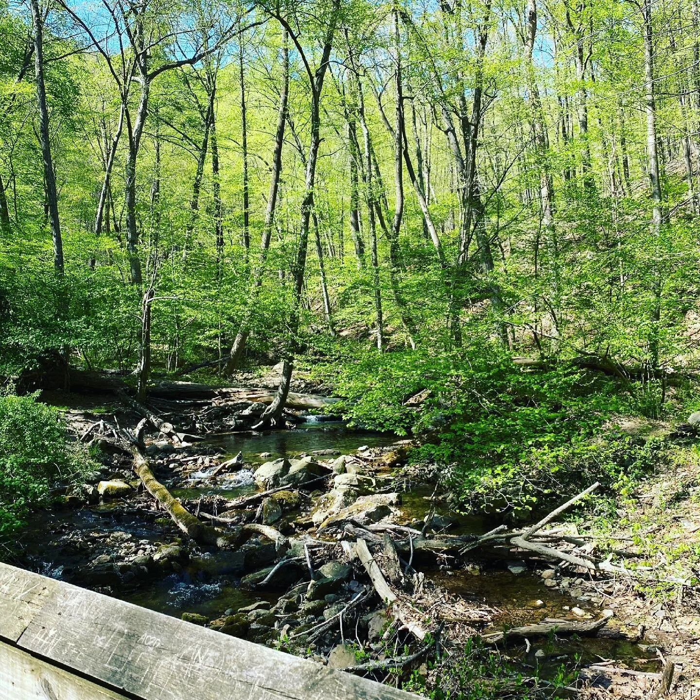 Mount Tammany 🤙🏽 #hiking