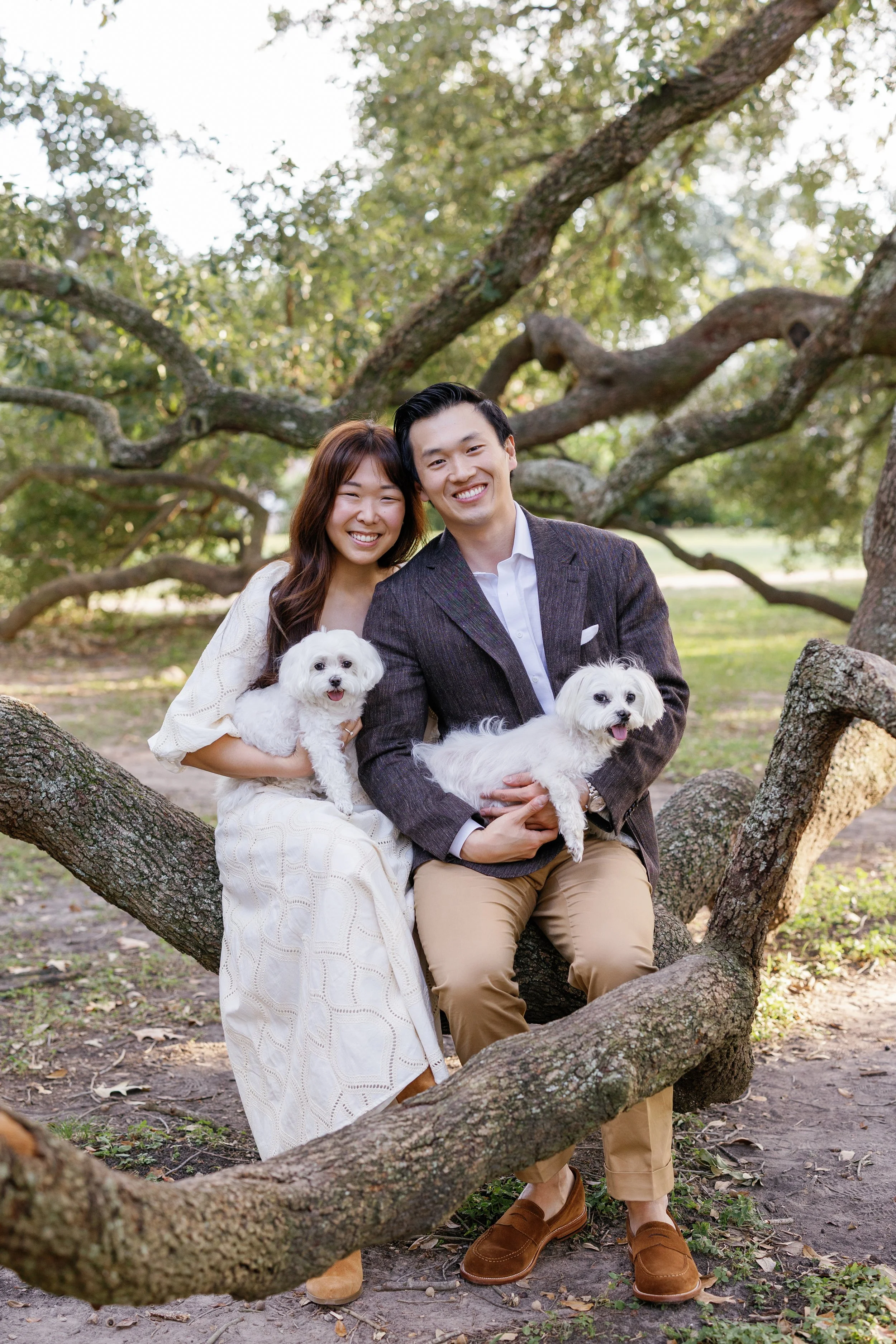 houston-texas-portrait-photographer-kimberly-brooke-photographic-oak-tree.jpg