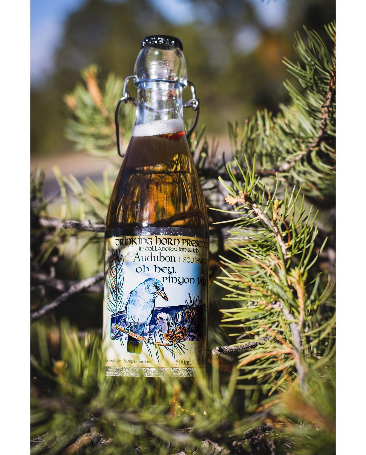 Pinyon Jay Drinking Horn Beer 02.jpg