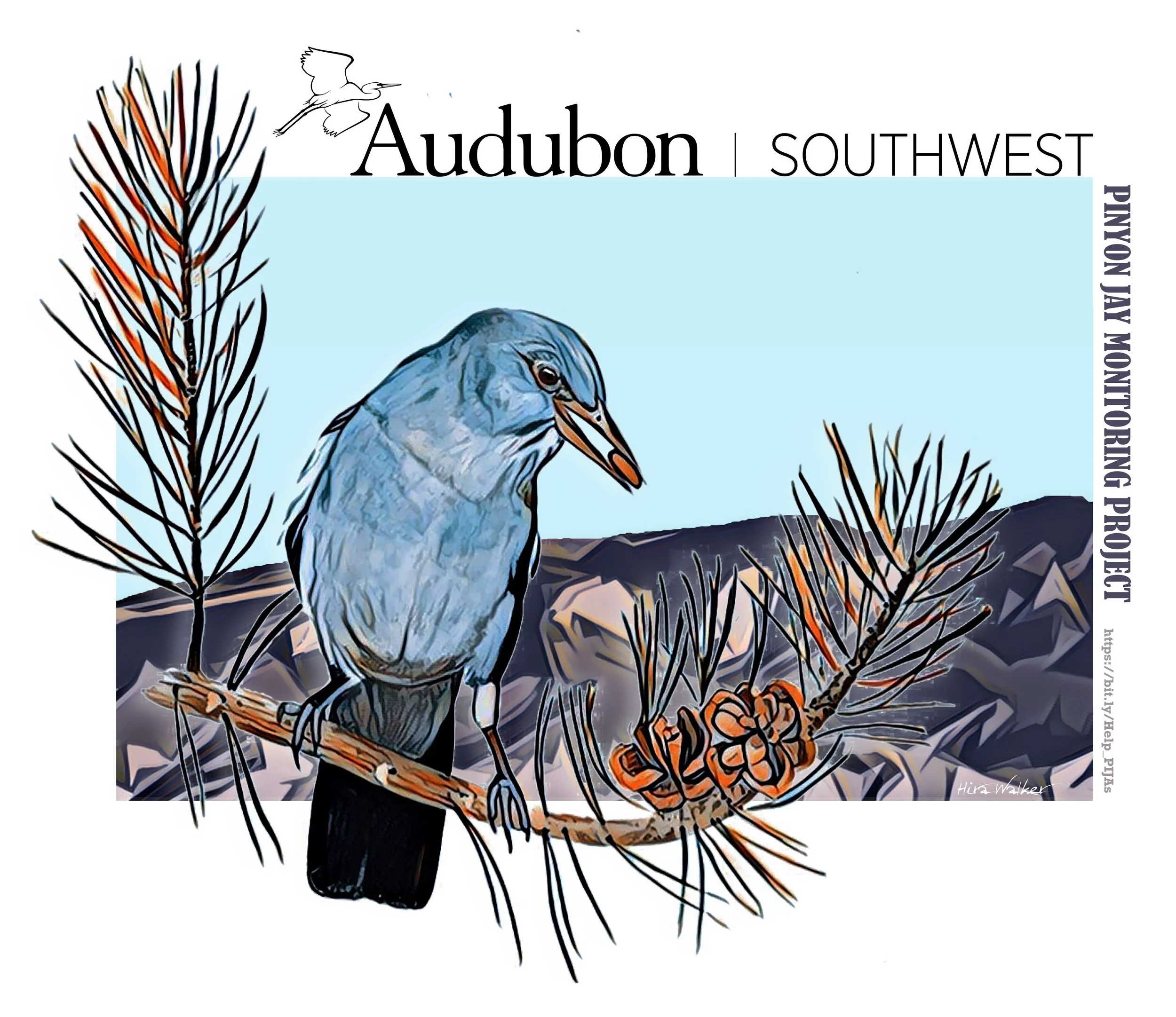 Pinyon Jay & Sandia Mtns_Walker-H_2022-03-21final.jpg