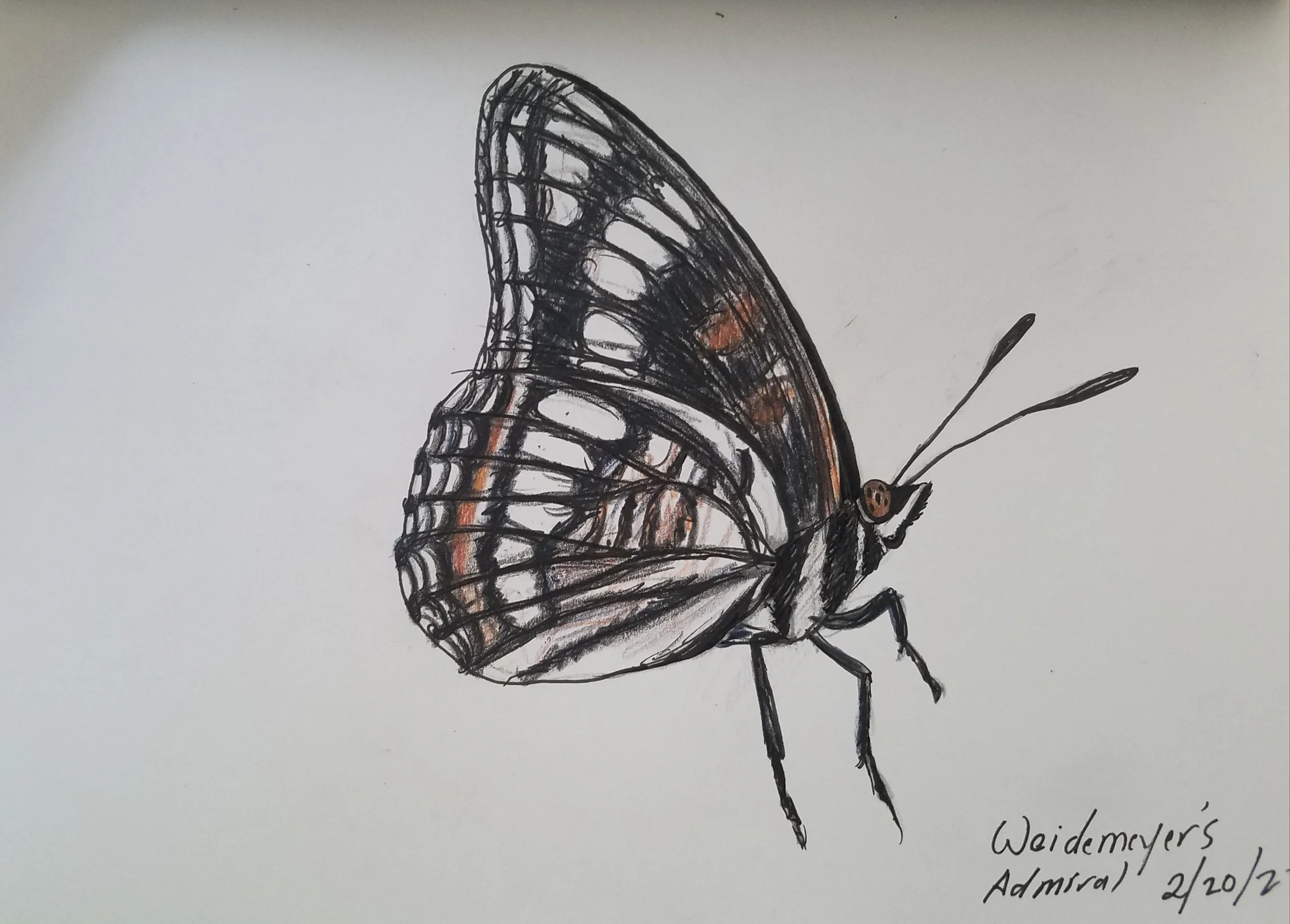 2022-02-20_Journal Sketches (2).jpg