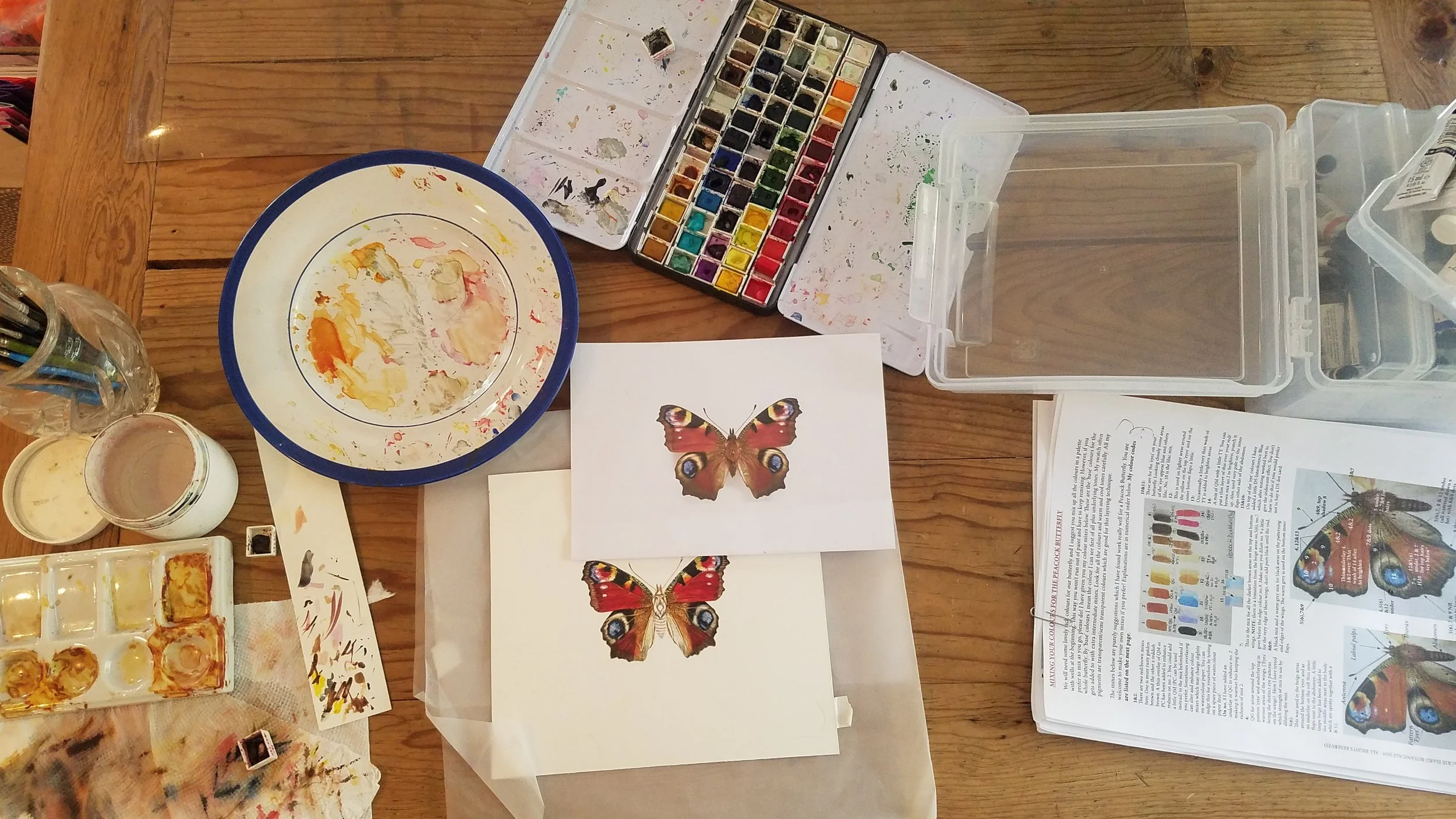 Peacock Butterfly_02 Progress 06.jpg