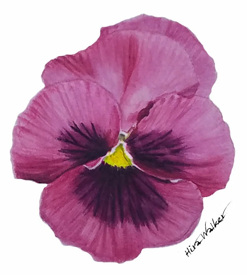 Pansy crop sig.jpg