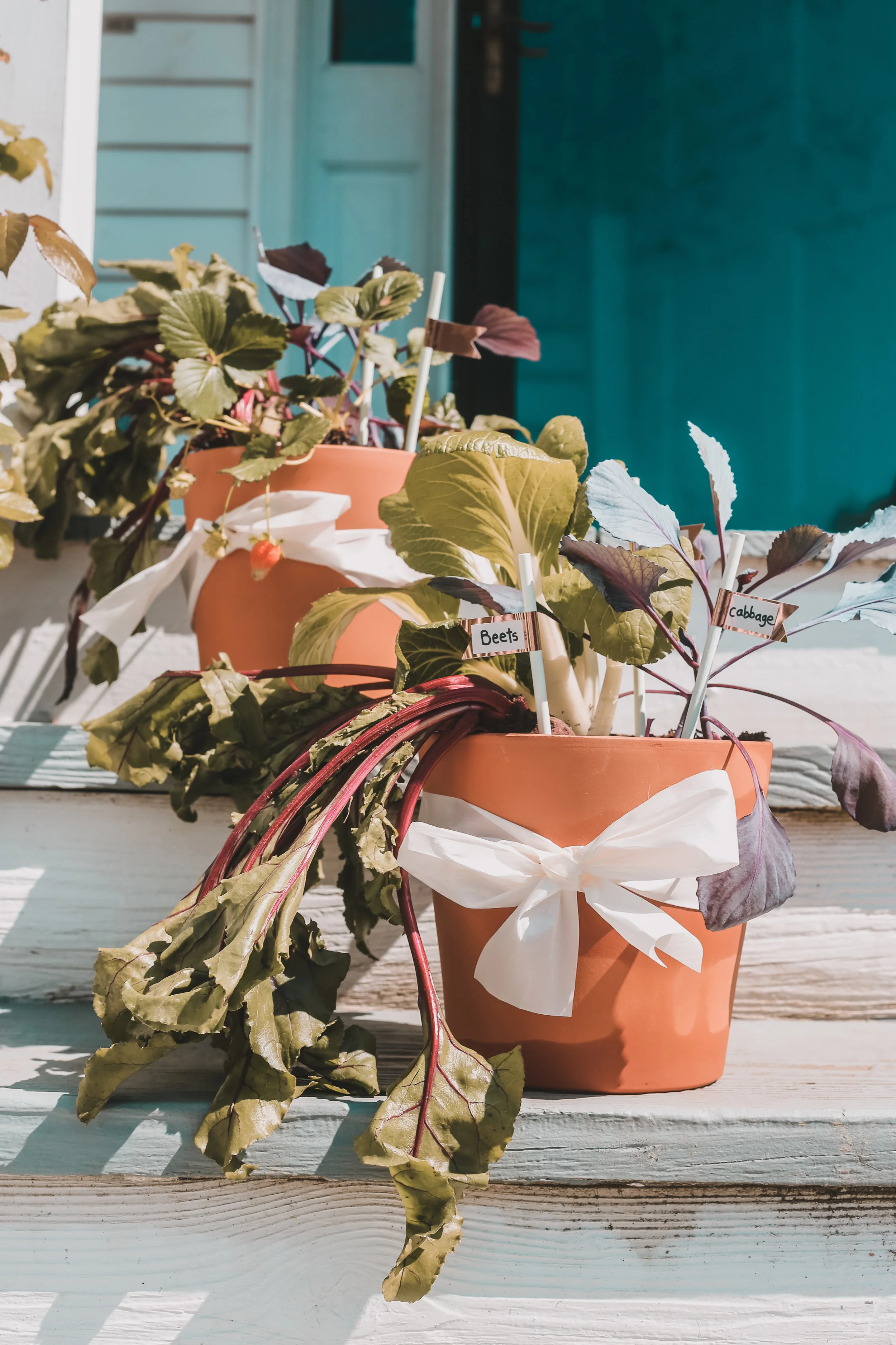 vegetablegardengiftbaskets.jpg