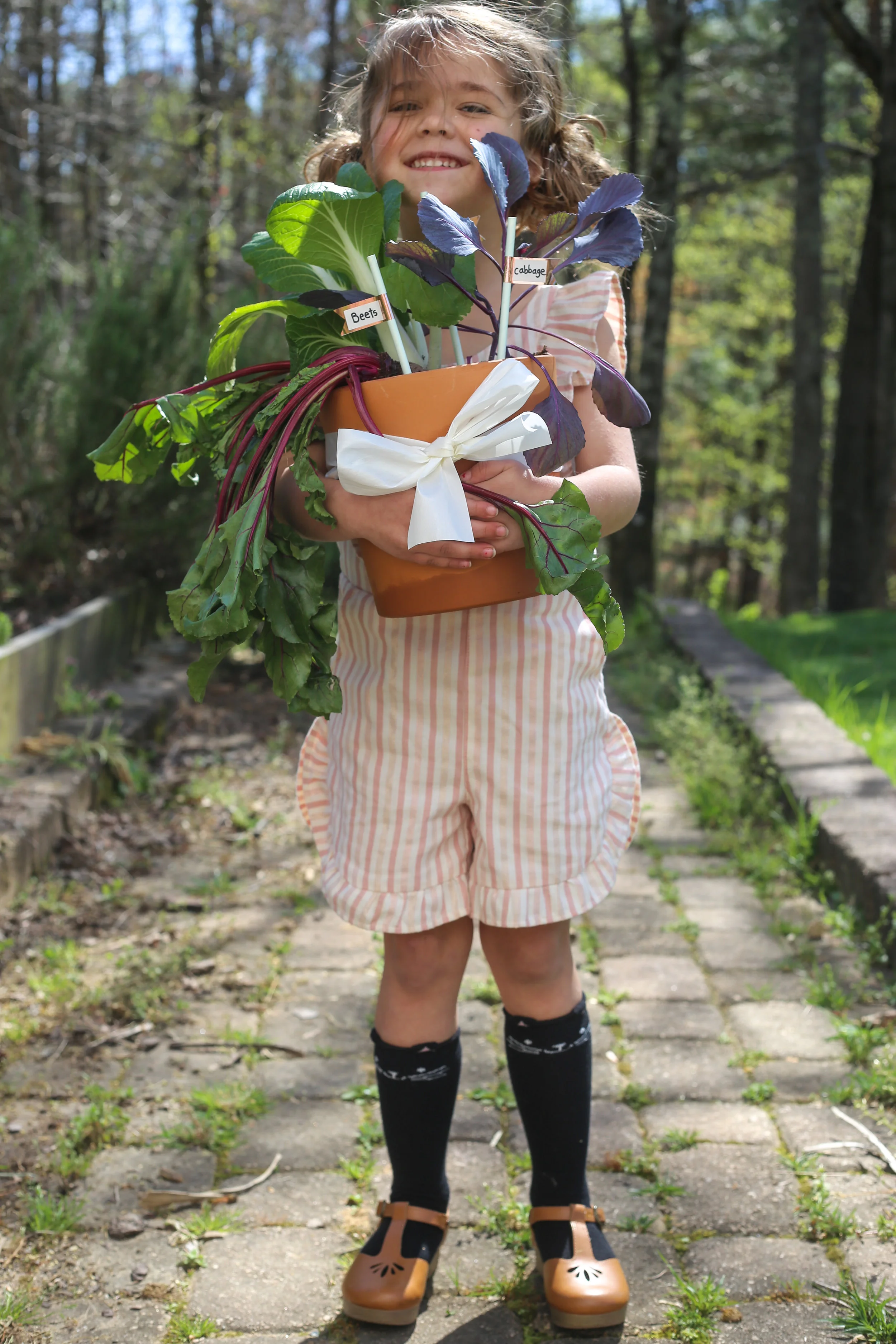 vegetablegardengiftbaskets.jpg
