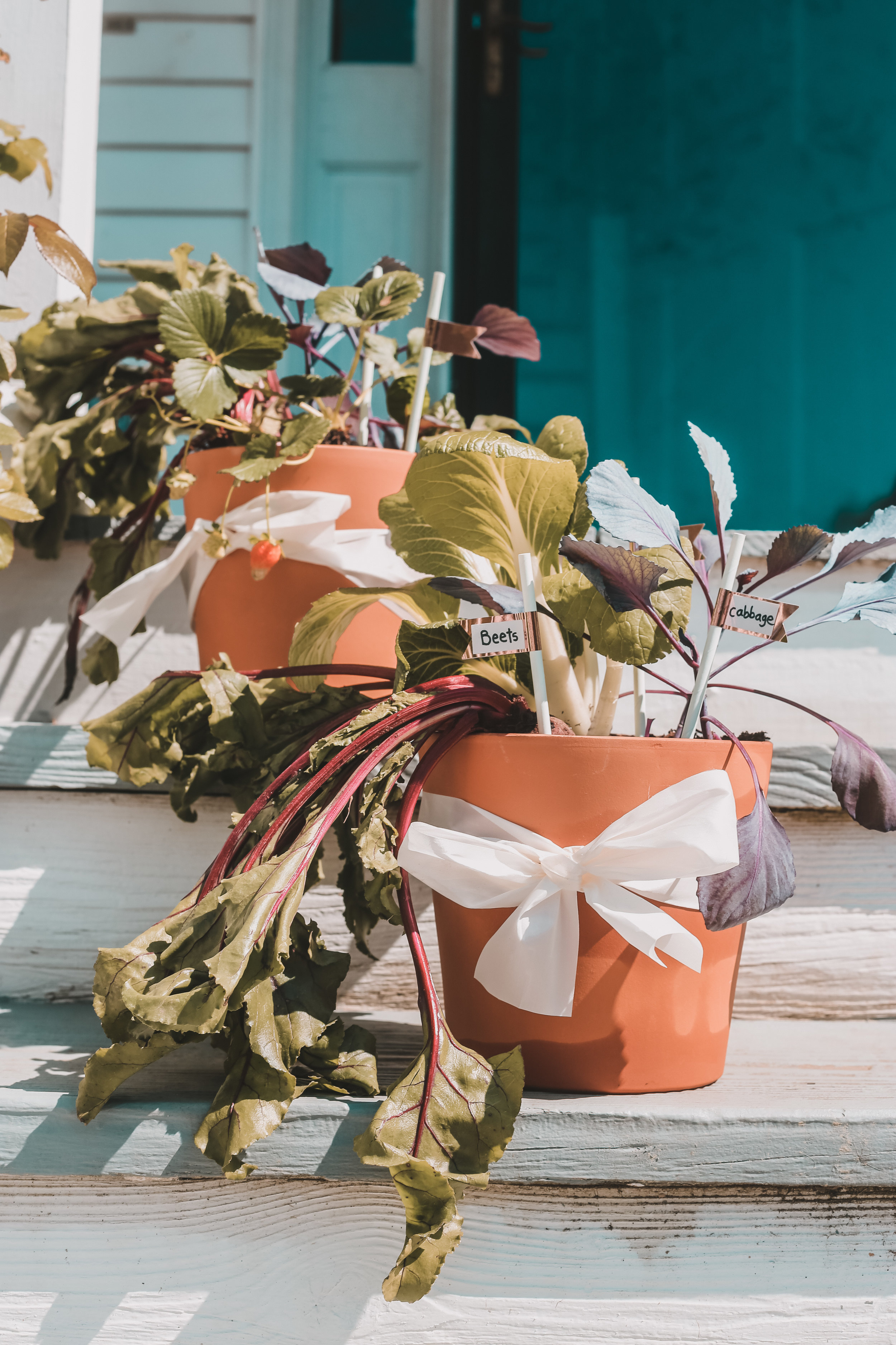 Vegetable Garden Easter Baskets 