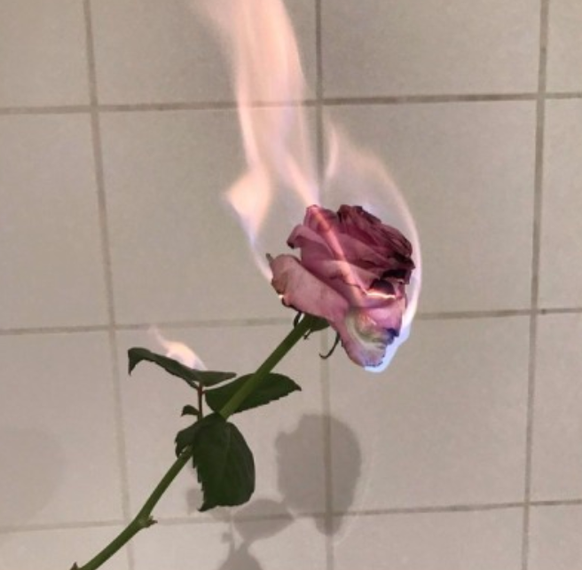 Screenshot 2019-02-09 at 18.58.47.png