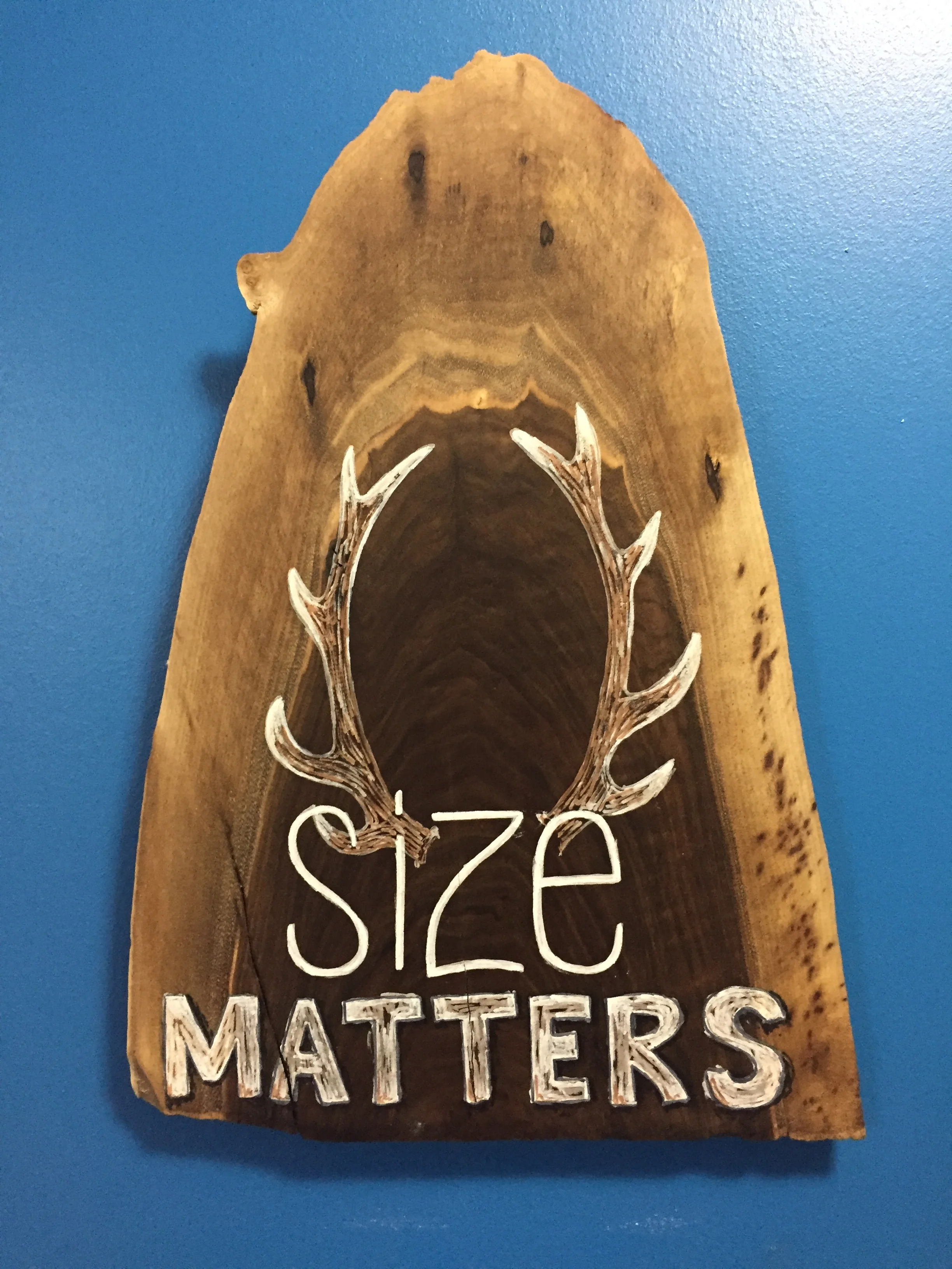 9. SIZE MATTERS WALL HANGING