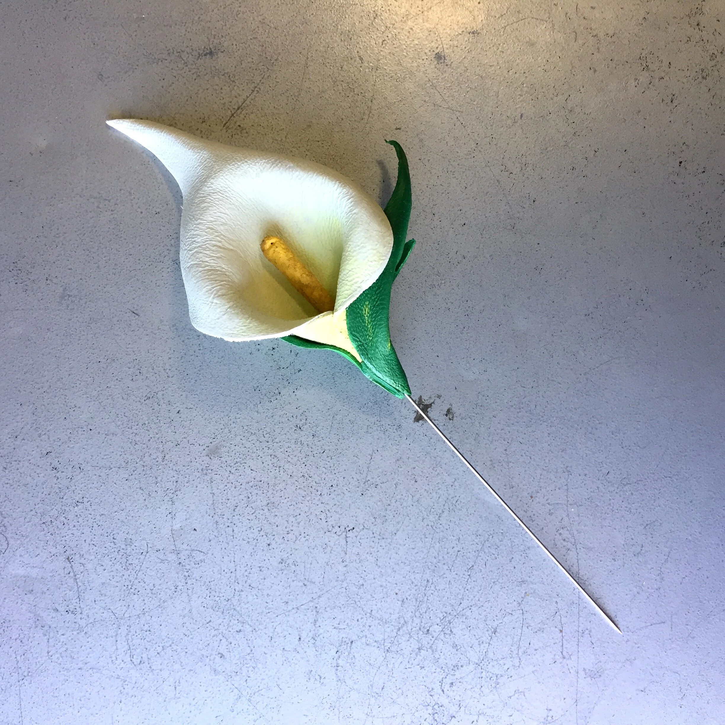 44EBB0E4-2224-4E1B-9C0A-2A1861238827