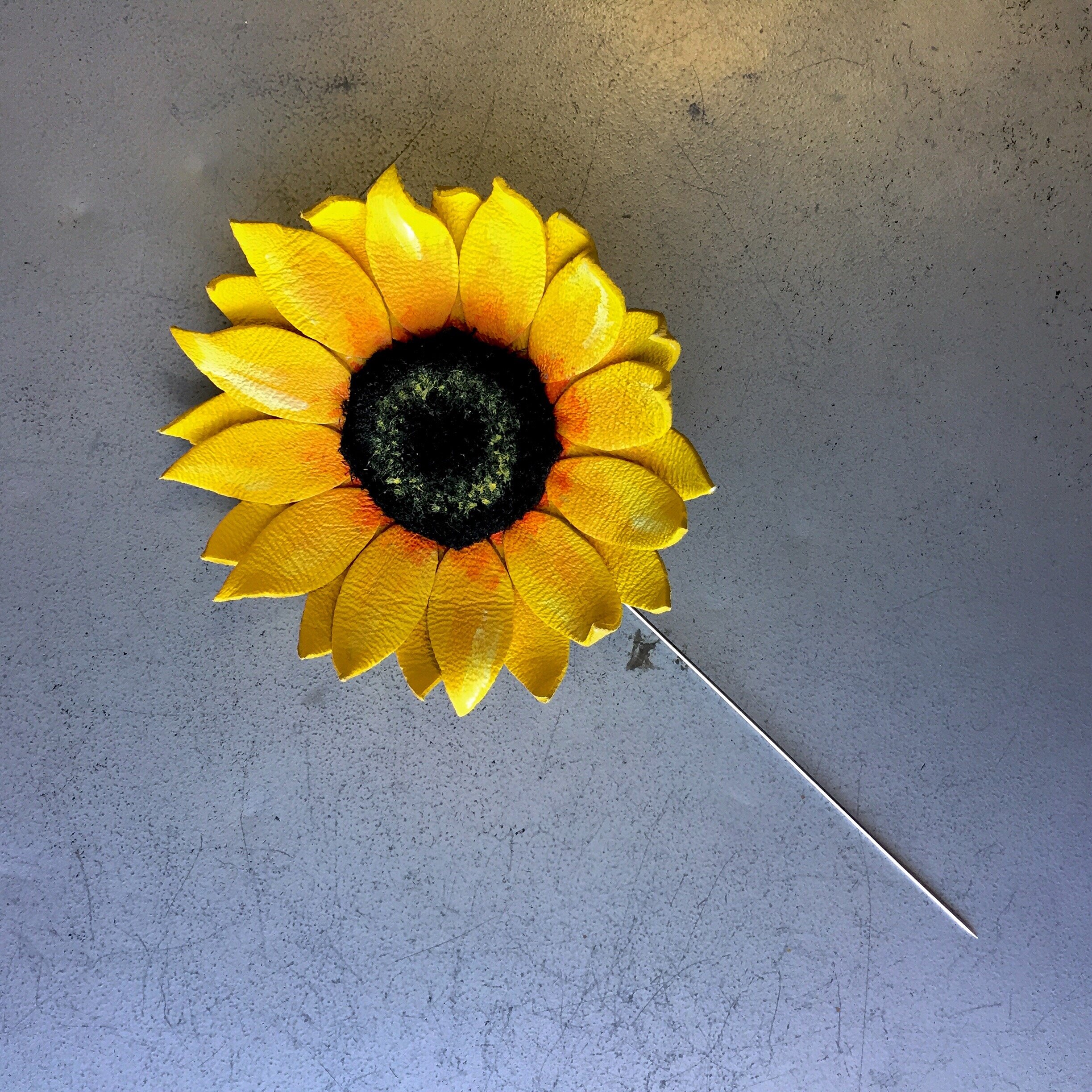 FB88F23E-7AE4-4EAF-84F3-900613C345F2