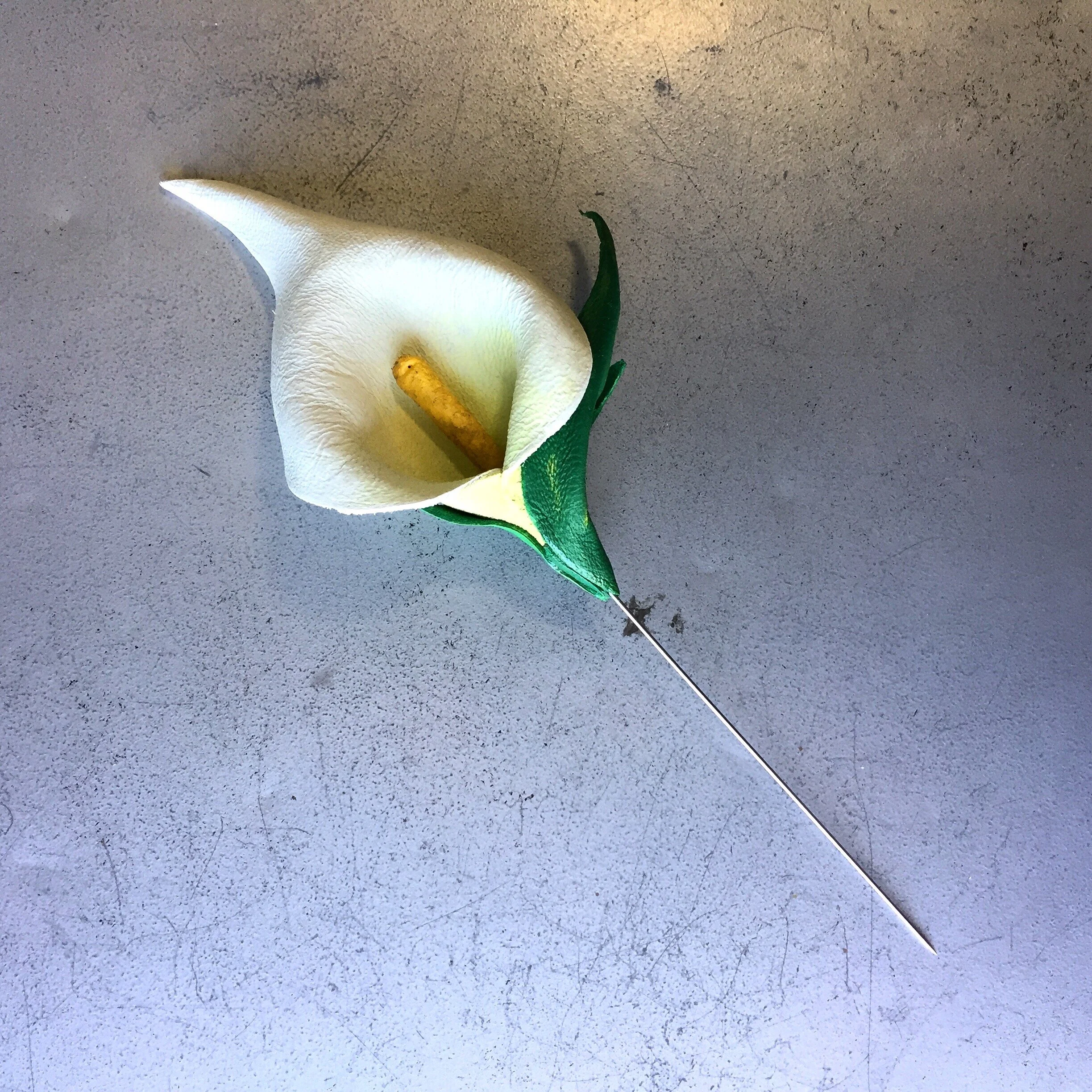 931491C4-B750-4386-84C7-F68559C27F18