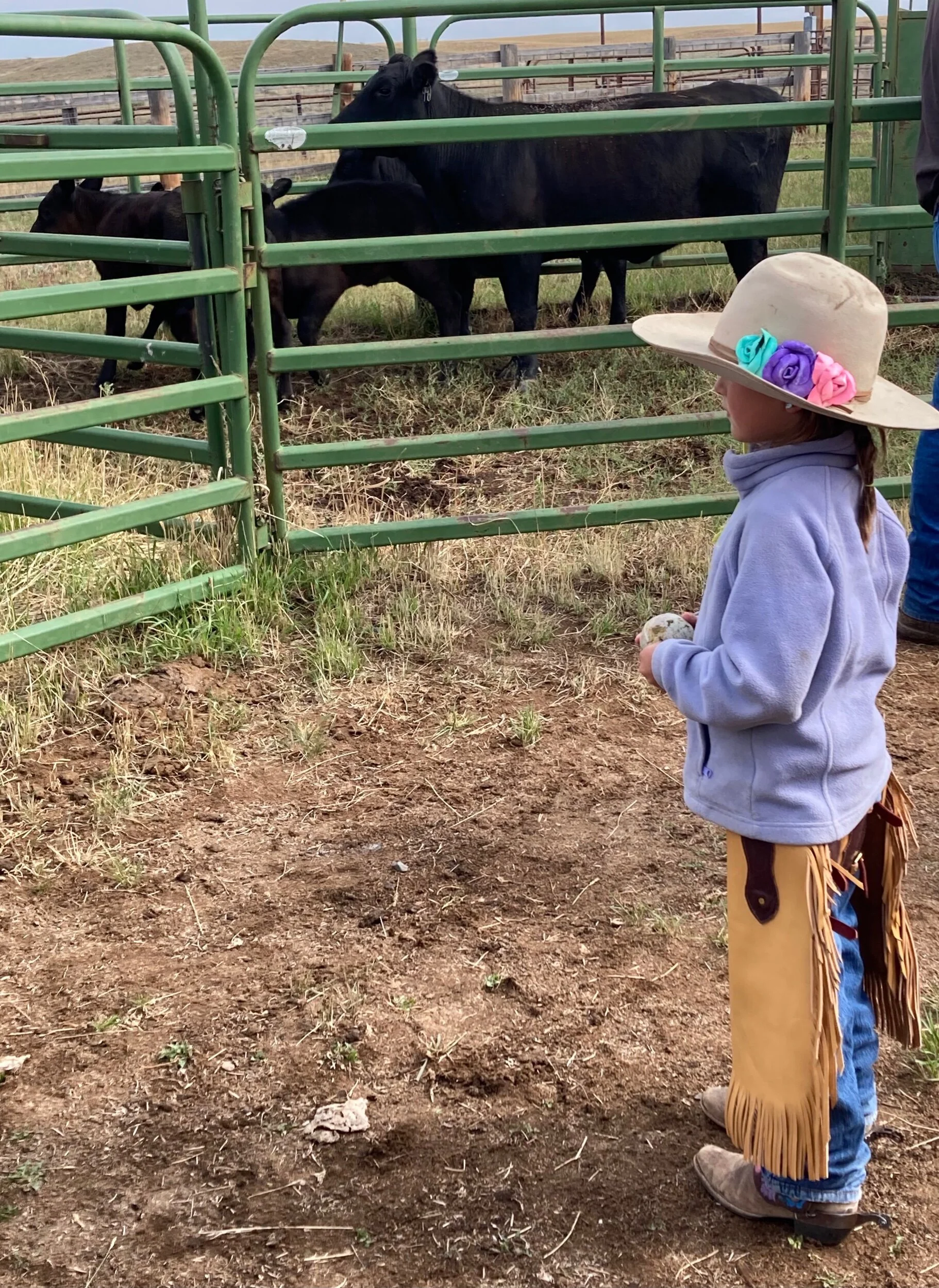 1DC461E7-814C-455A-A279-B72B1DEDF858