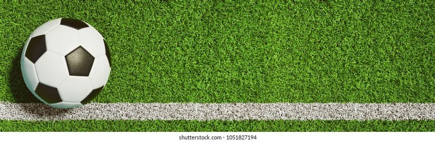 soccer-ball-on-green-grass-260nw-1051827194.jpeg