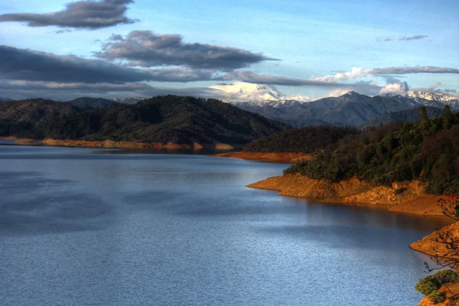 shasta.jpg