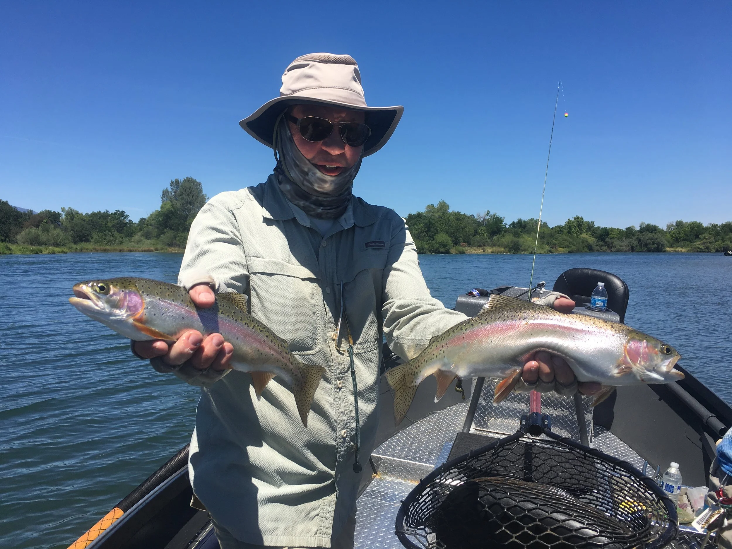 Wild Rainbow Trout:Sac River.jpeg