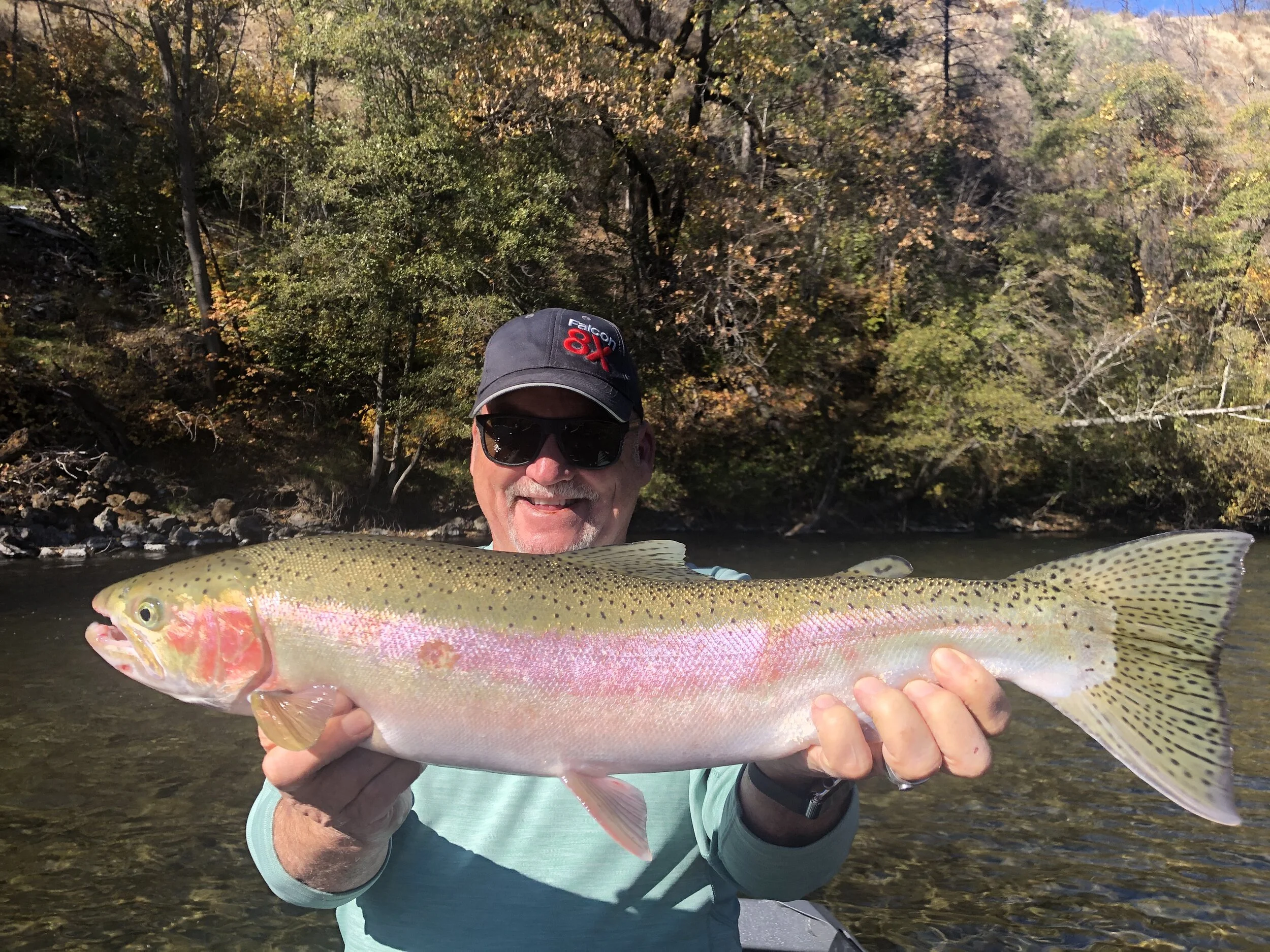 TRINITY RIVER STEELHEAD