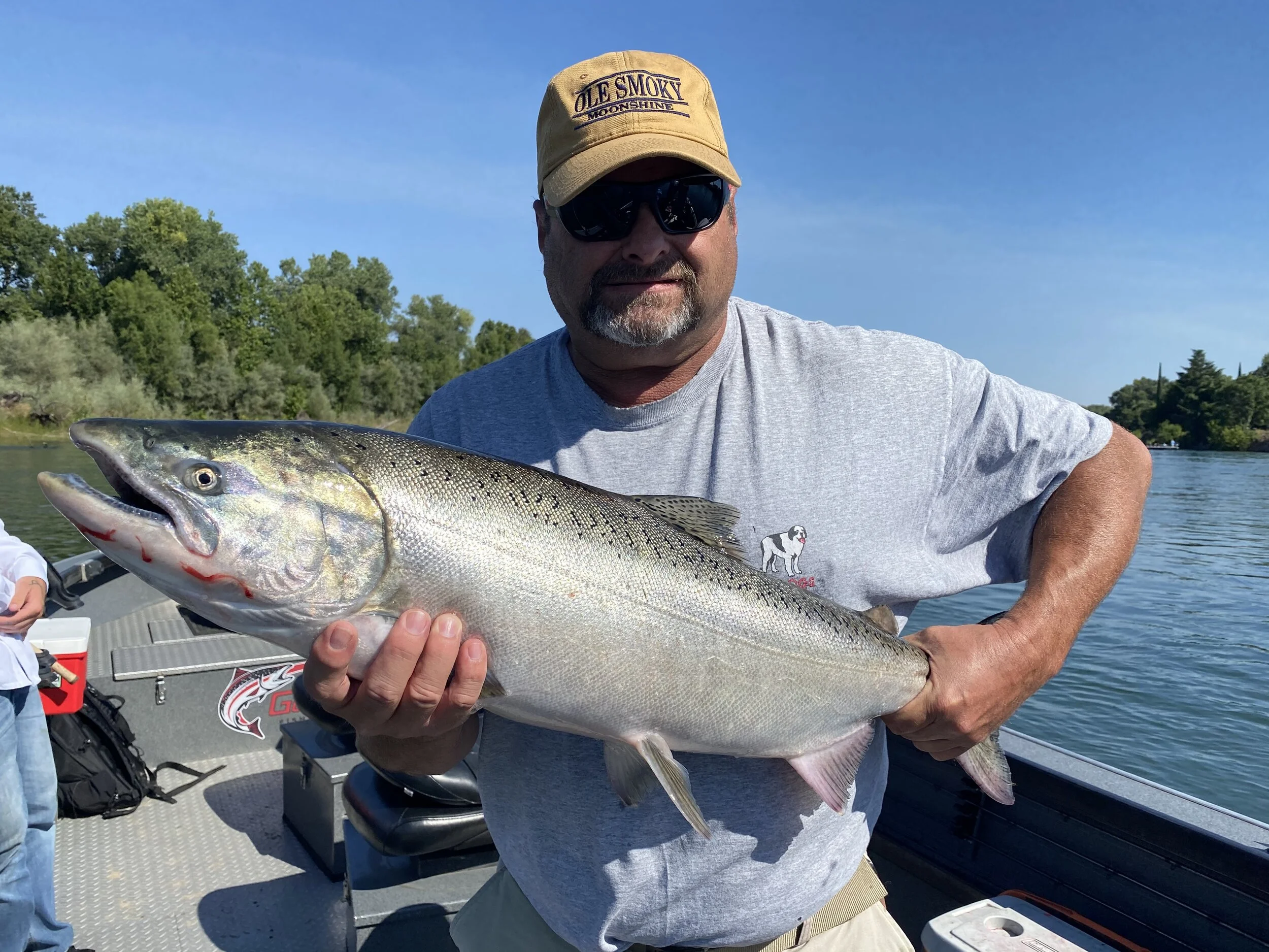 2020 King Salmon
