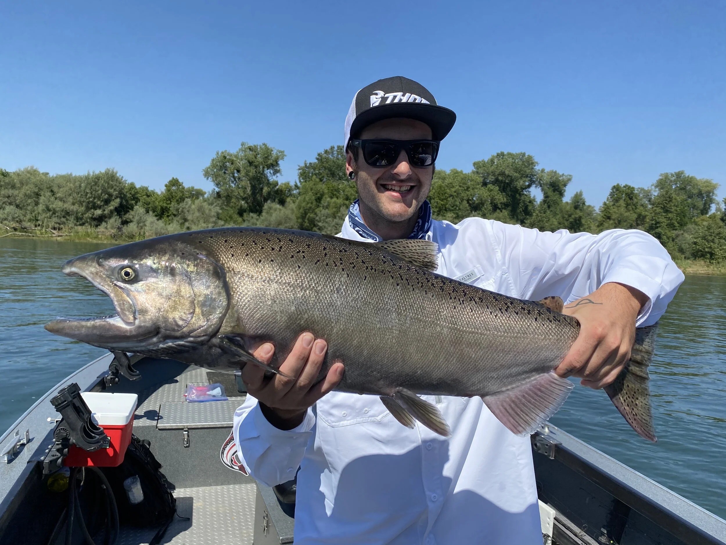 2020 king Salmon