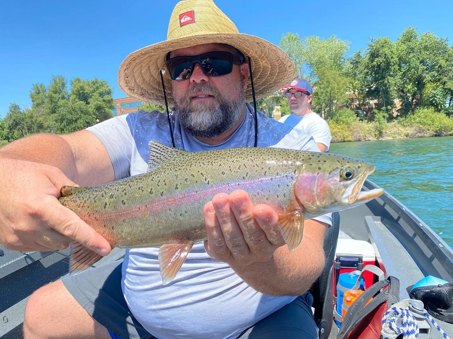#jtfishingredding the Sacramento River rainbow&rsquo;s are enjoying the cold water coming out of Shasta lake! 
@jeffgoodwinfishingteam @pautzke_bait @bradskillerfishinggear #reddingcalifornia #northerncalifornia #getoutdoors #steelheadfishing #riverf