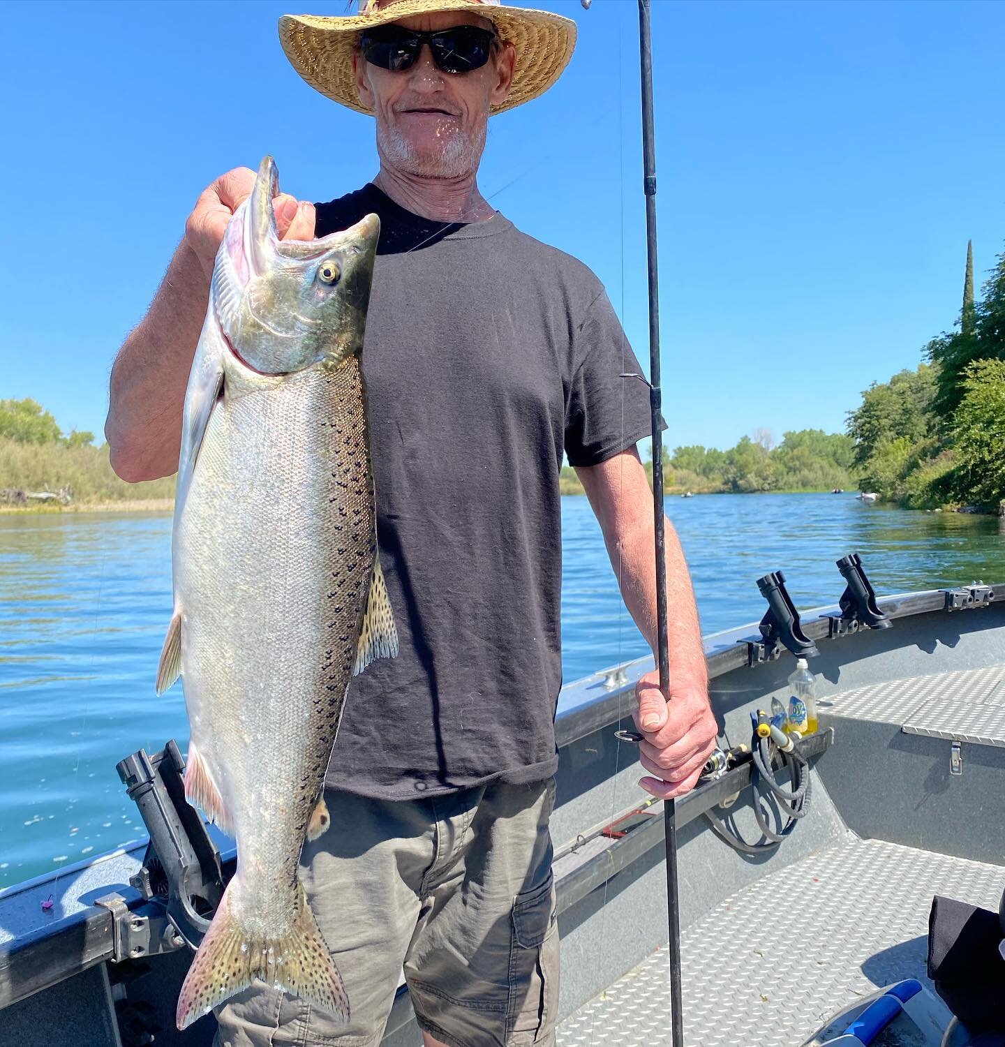 #jtfishingredding Sacramento River king salmon fishing is headed in the right direction. We will start to see more and more fish in the next few weeks!! @jeffgoodwinfishingteam @pautzke_bait #sacramentoriver #sanfrancisco #salmoncandy #donthatethebai