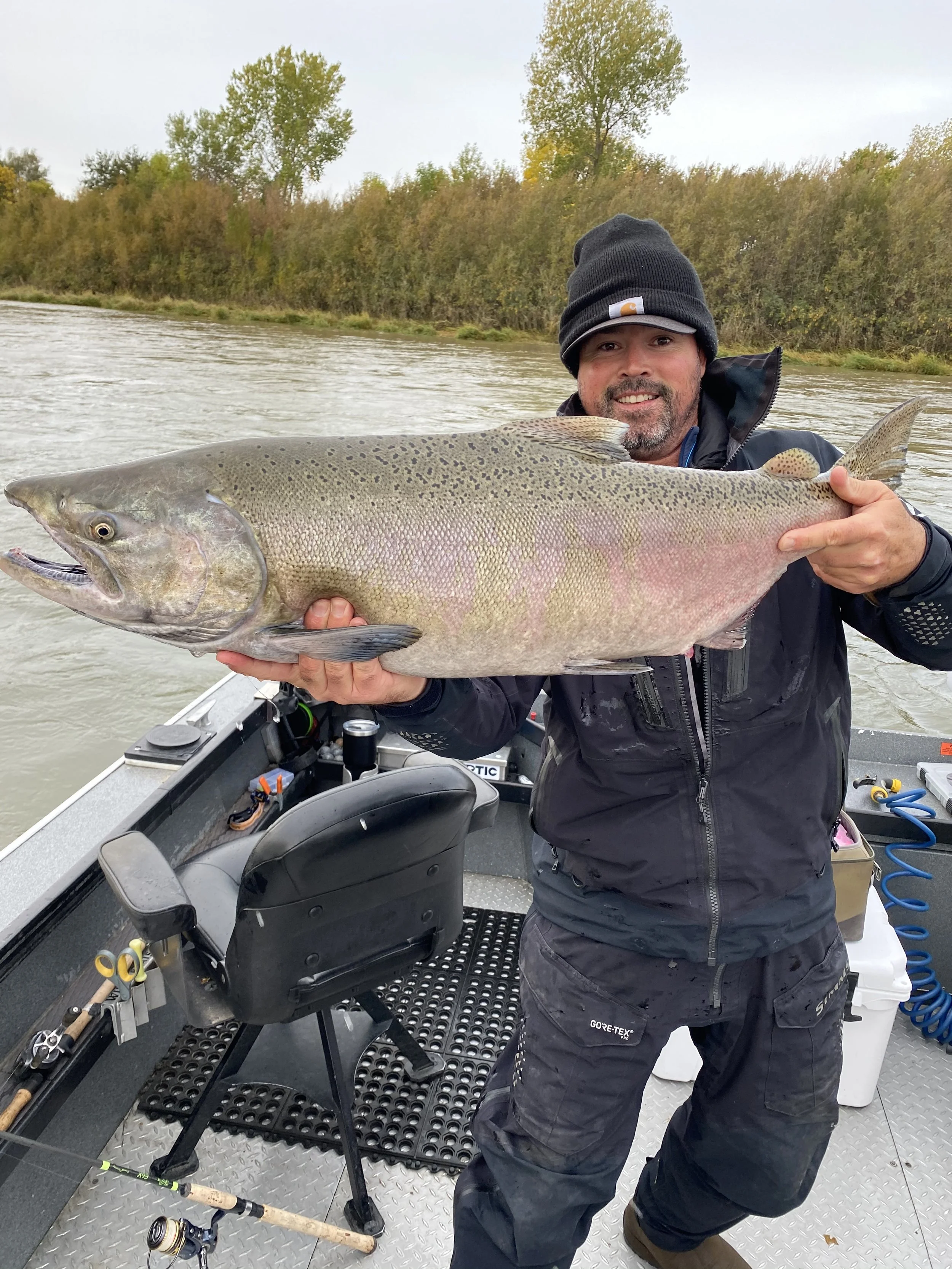Sacramento River king salmon,