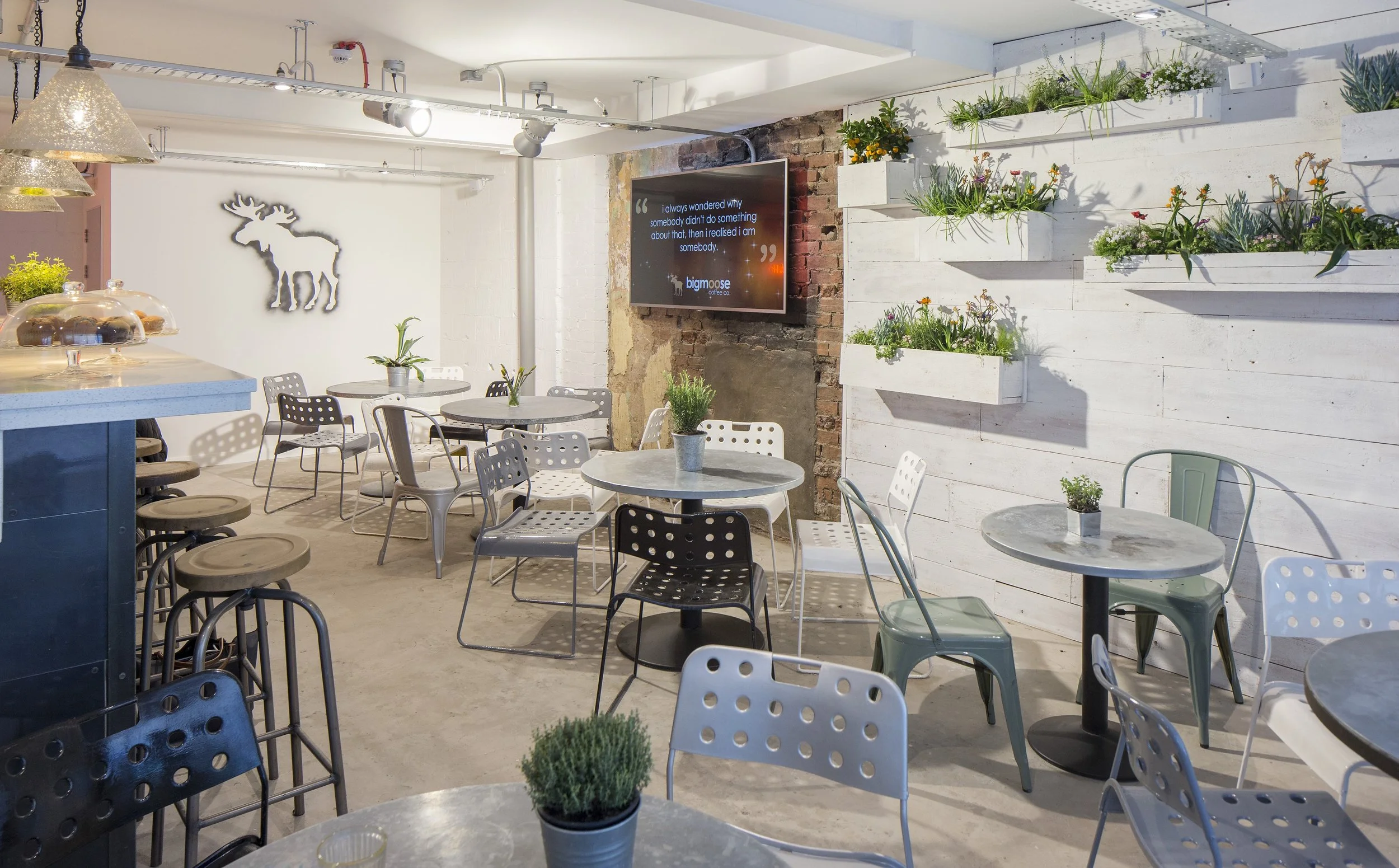 St David's - Big Moose Cafe4.jpg