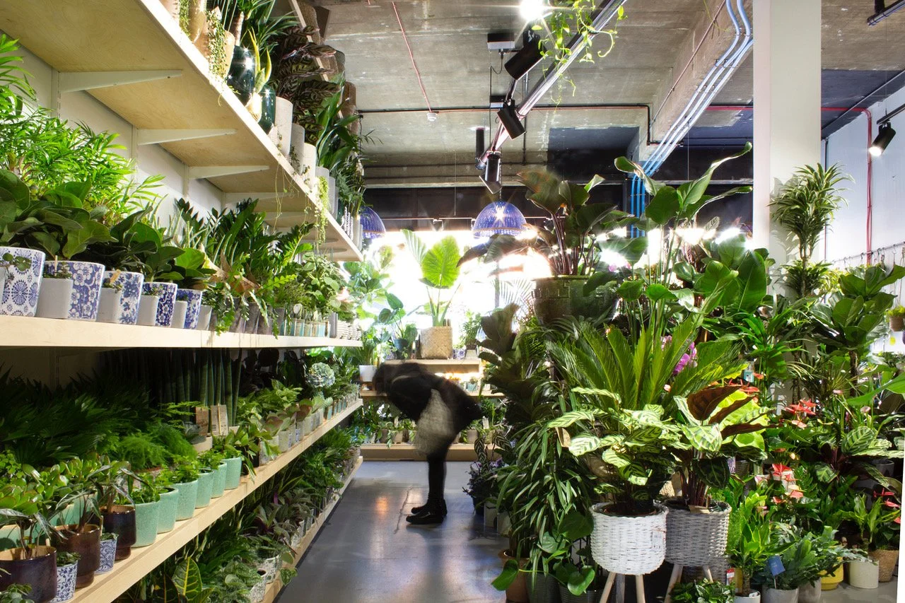 Nature and nurture at Elephant Park as Lendlease helps Nunhead Gardener go from temp to perm