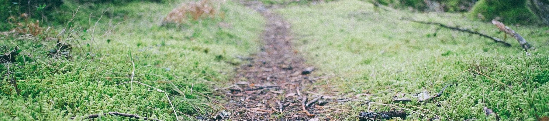 Bread-Crumb-Trail.jpg