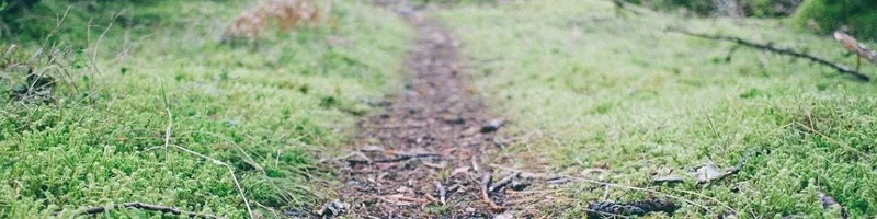 Bread-Crumb-Trail.jpg