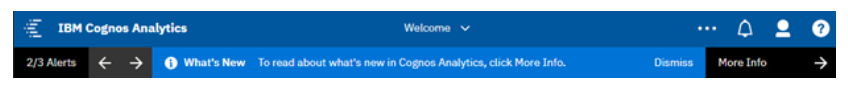 Cognos 11.1.4 10.png