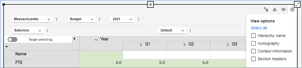 Viewing options in Planning Analytics
