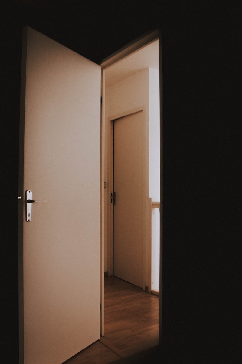 The Door | My Ancestors Cries