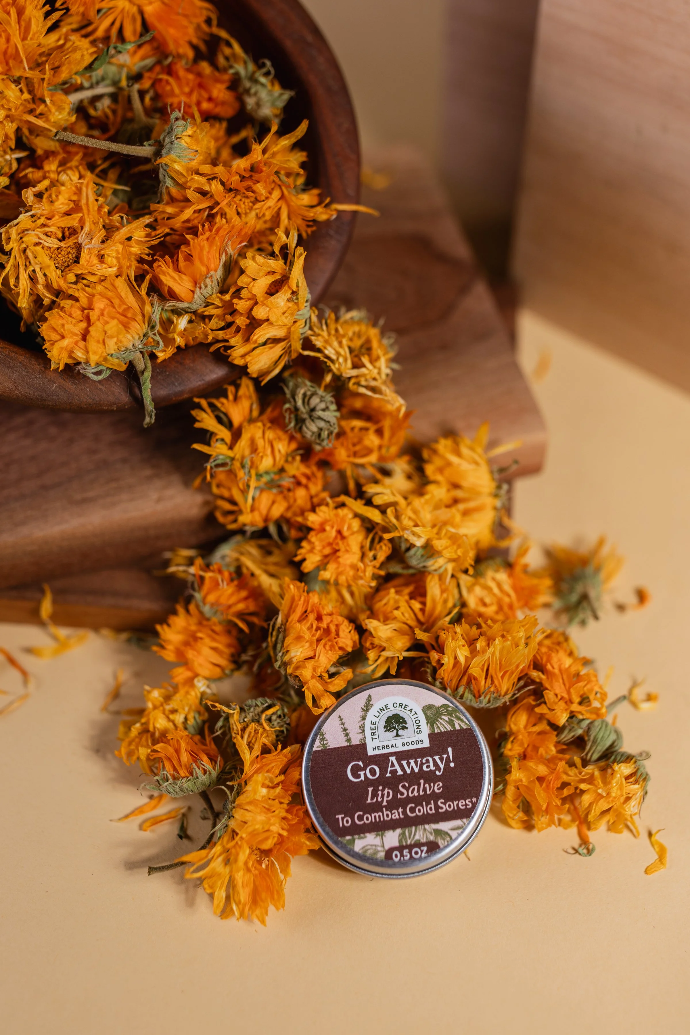 Go Away Cold Sore Salve-3.jpg