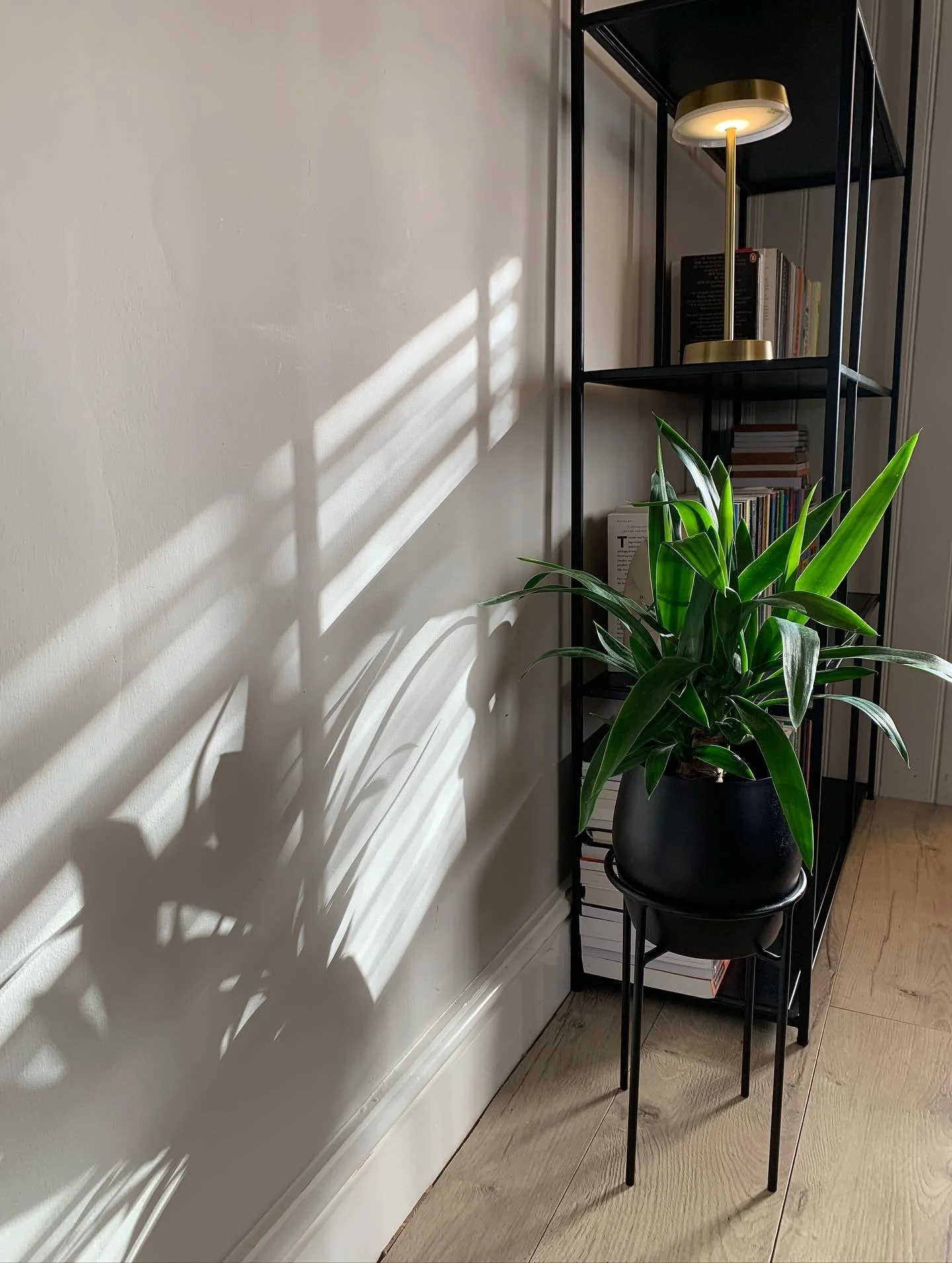 A few pics of the new room. Feels good to be working in here. Lovely light today.

#therapistsconnect
#counselling #counsellor
#basingstoke
#basingstokecounsellor
#therapist #therapy
#psychotherapy #psychotherapist
 #hampshire
#hampshirecounsellor