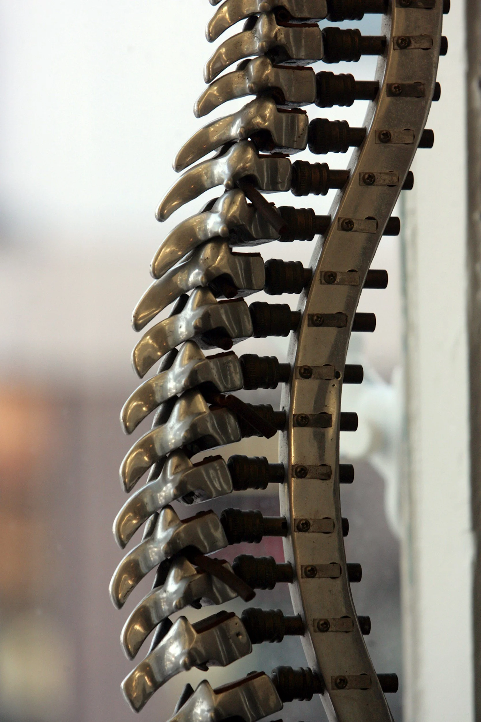 The Spine & Your Health: Why Posture Matters More Than You Think
