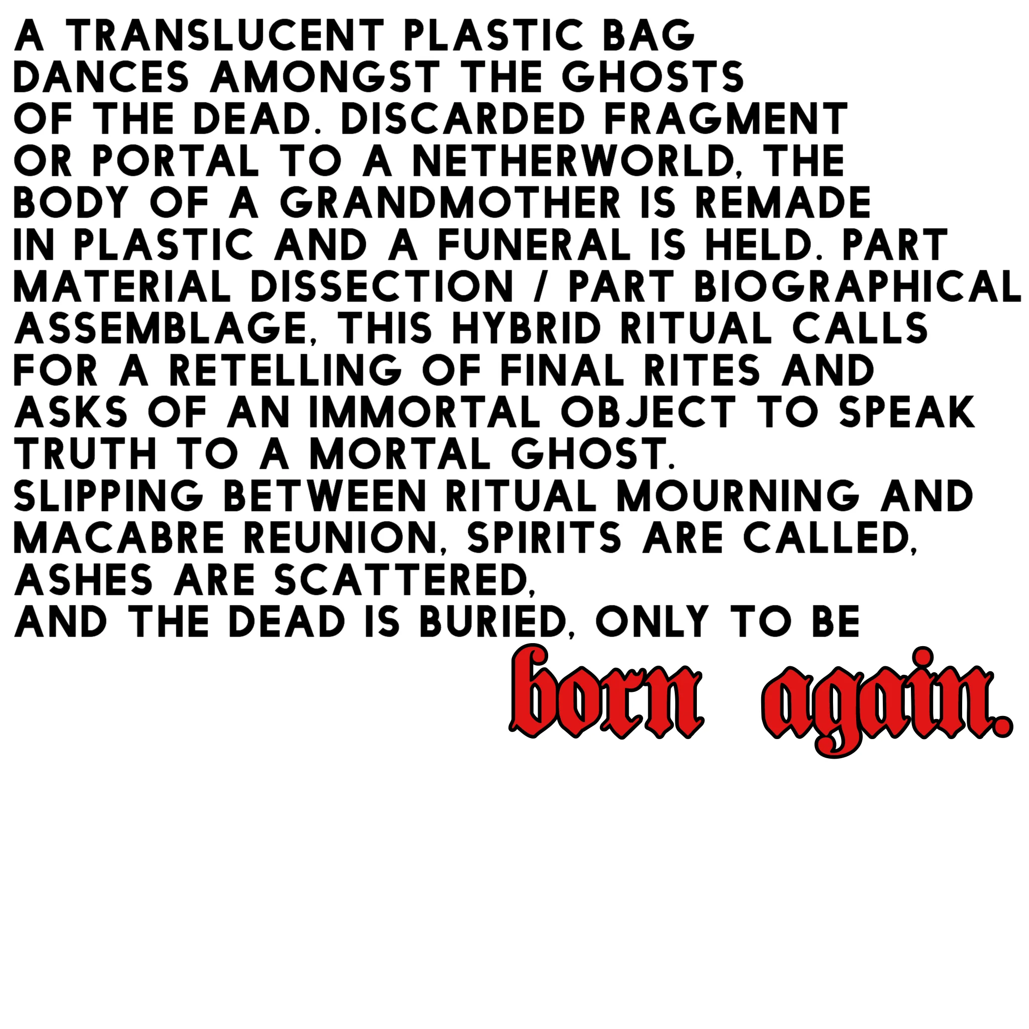 801F6F09-195A-47F1-8E93-06341F2D4087.jpeg