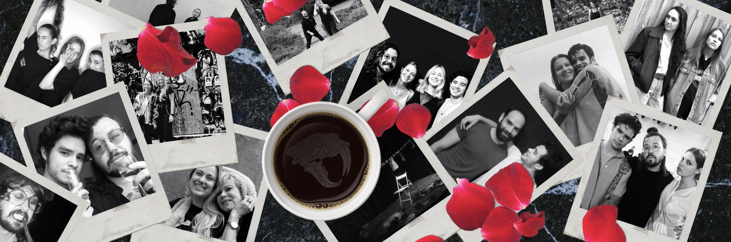 Celebrating Two Years