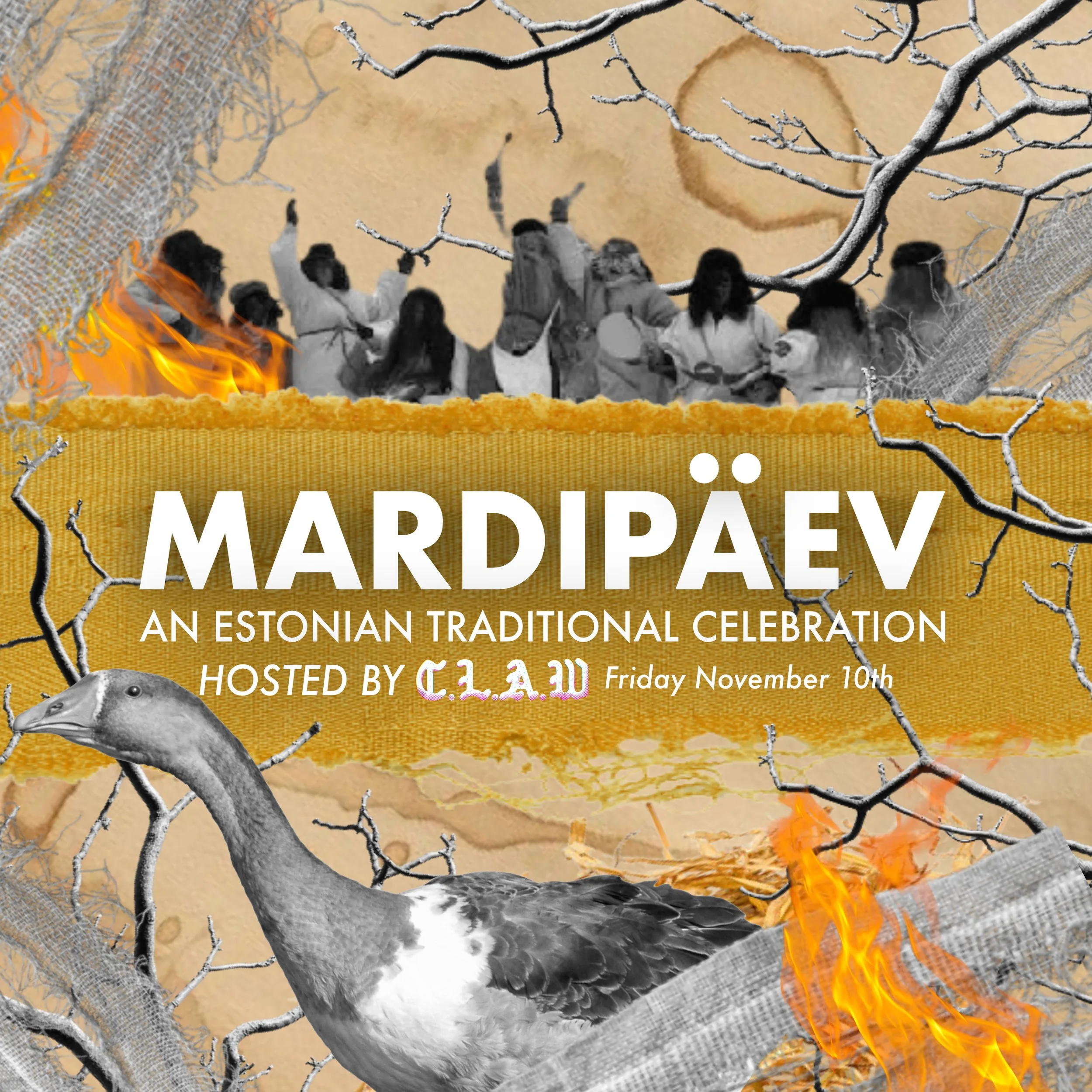MARDIPÄEV