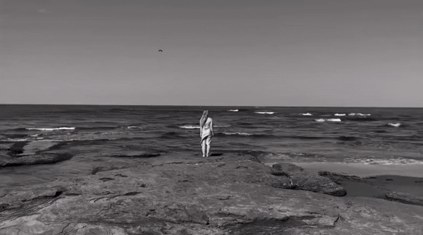 ezgif.com-gif-maker (5).gif