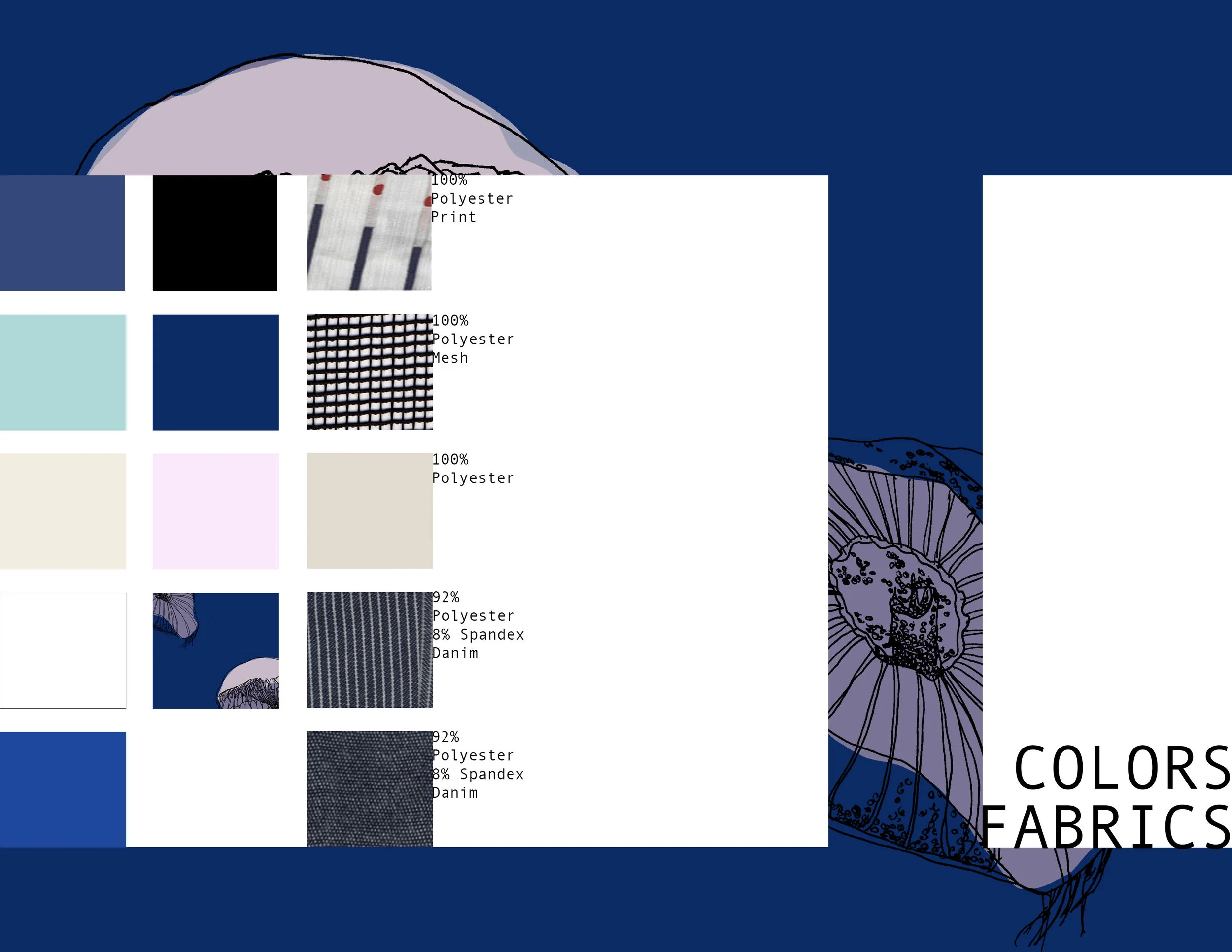 2.TD_jellyfish_color.jpg