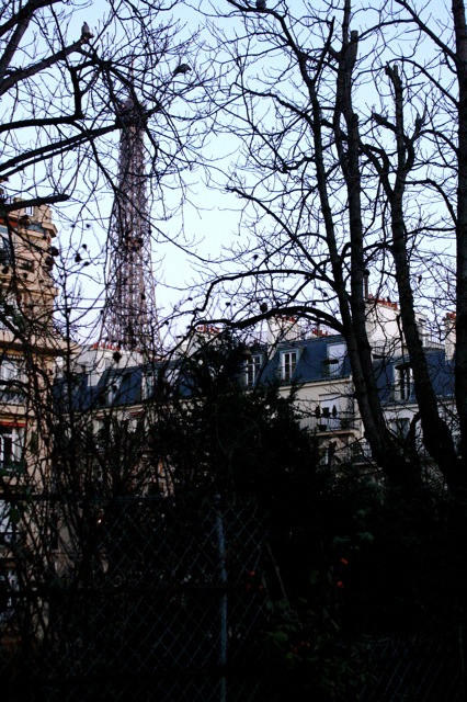 rachel-king-paris-tour-eiffel
