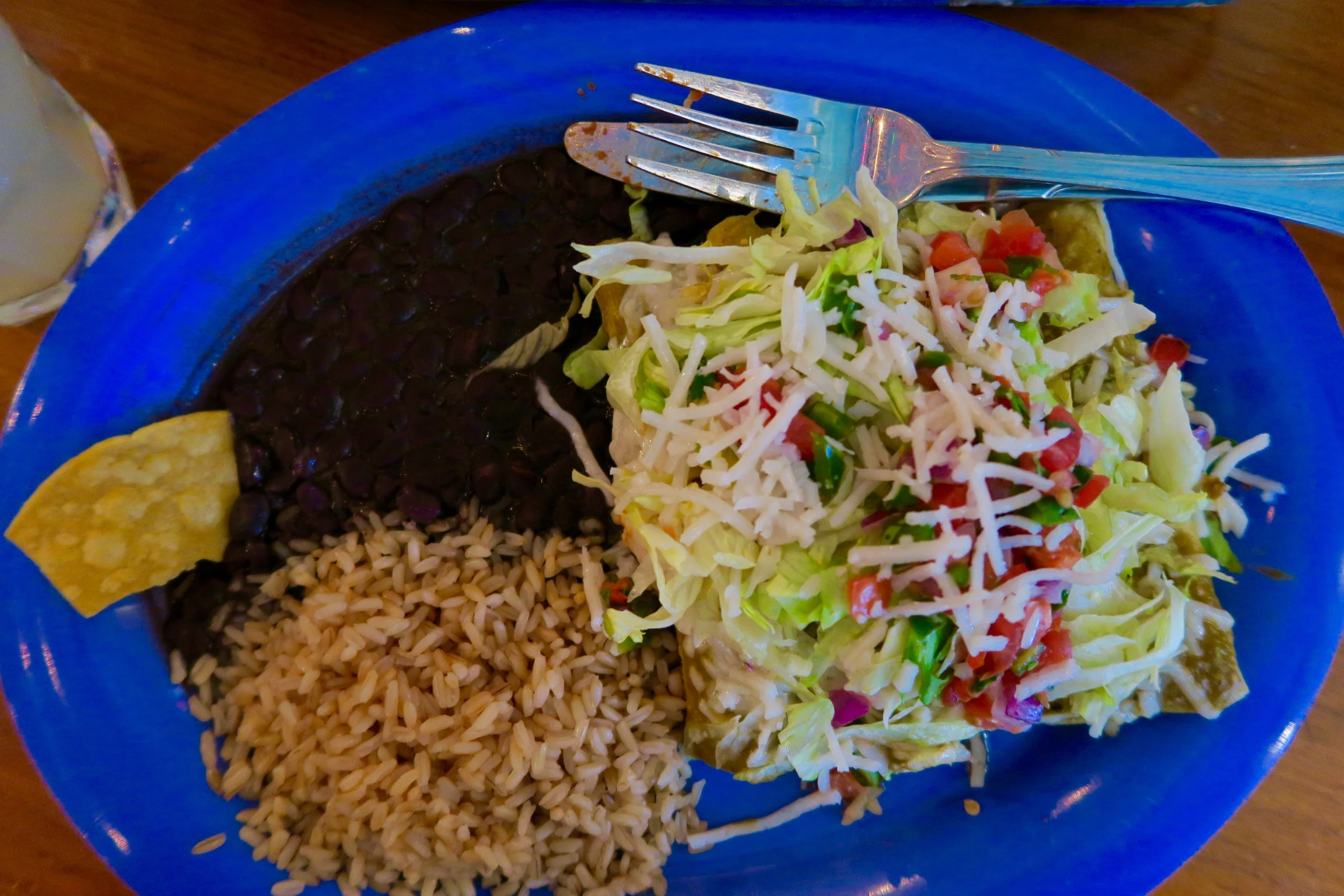 Vegan enchiladas