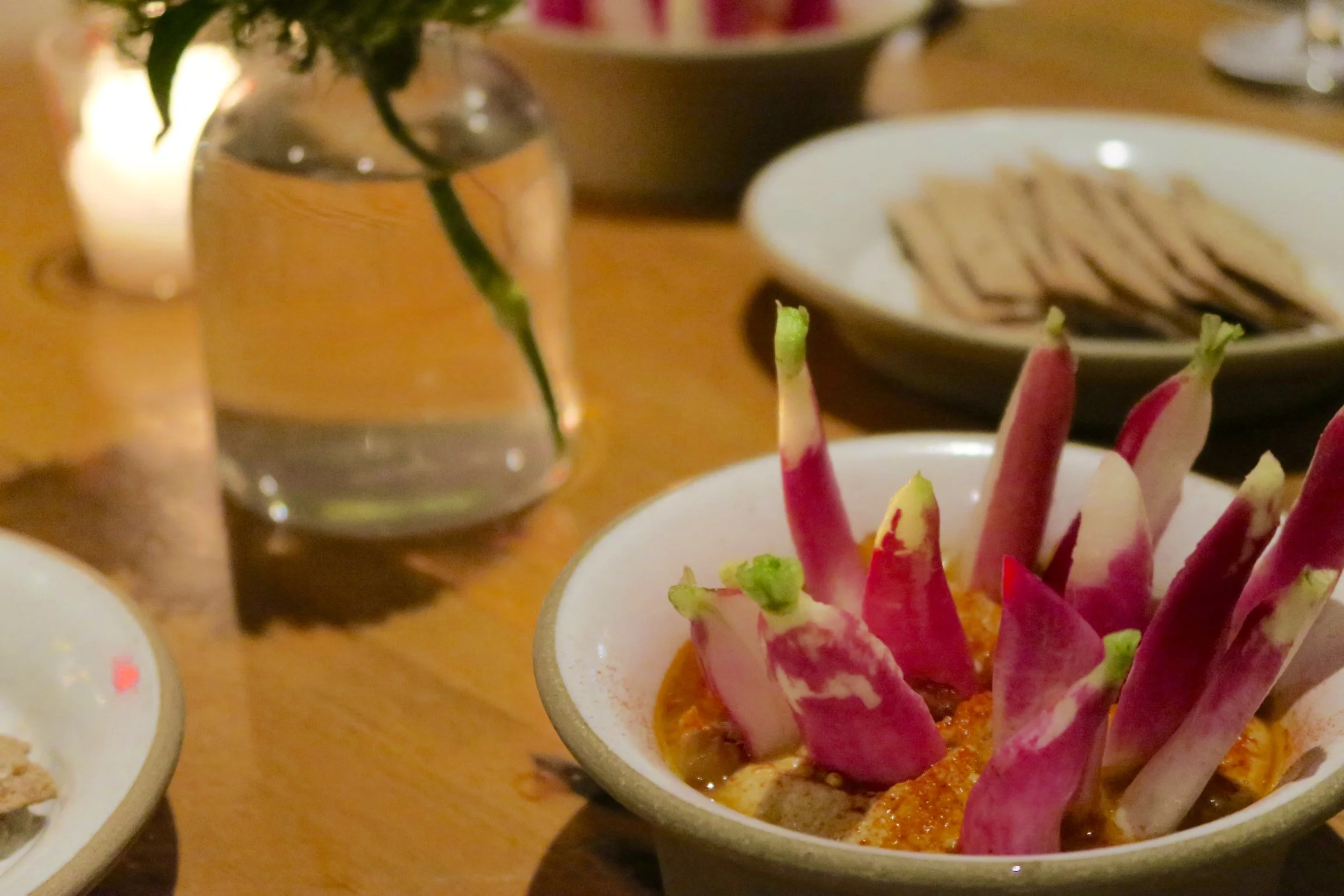 HUMMUS AND RADISHES with red wheat and sunflower seed crackers