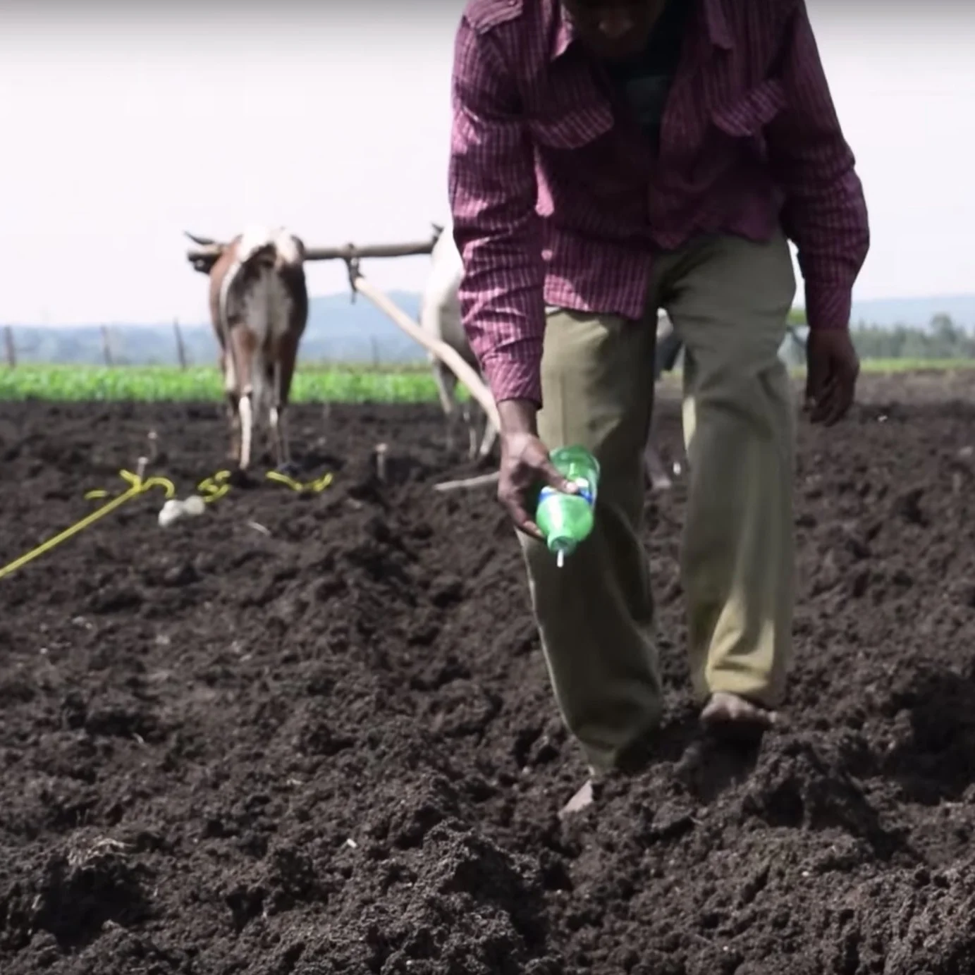 f_bottle planting.jpg