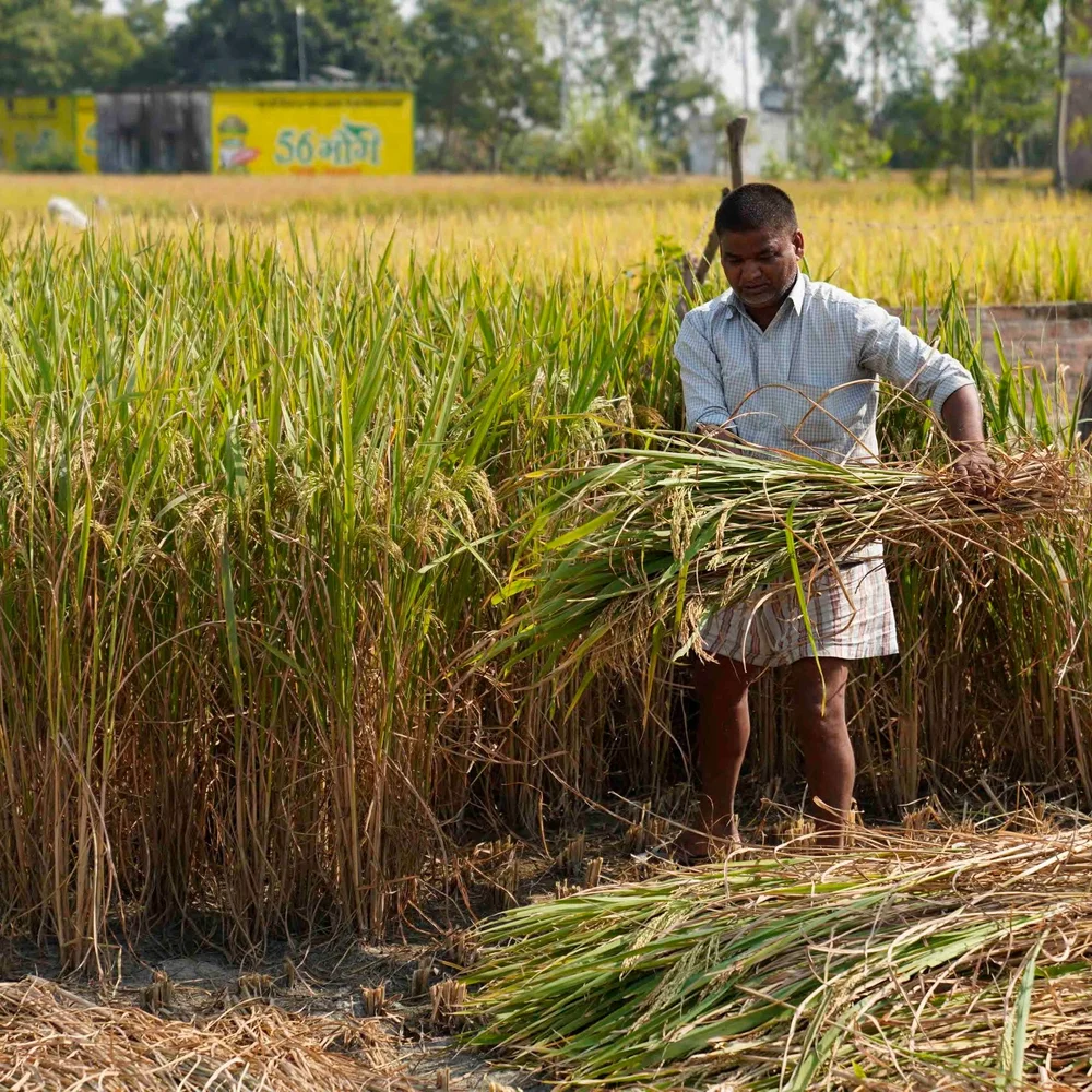 Agro Modernization India