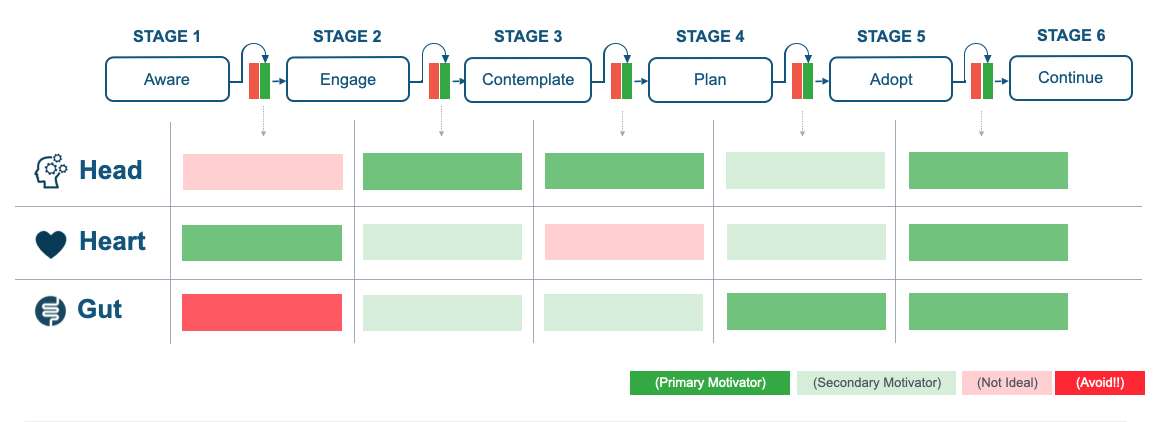Head Heart Gut motivation framework