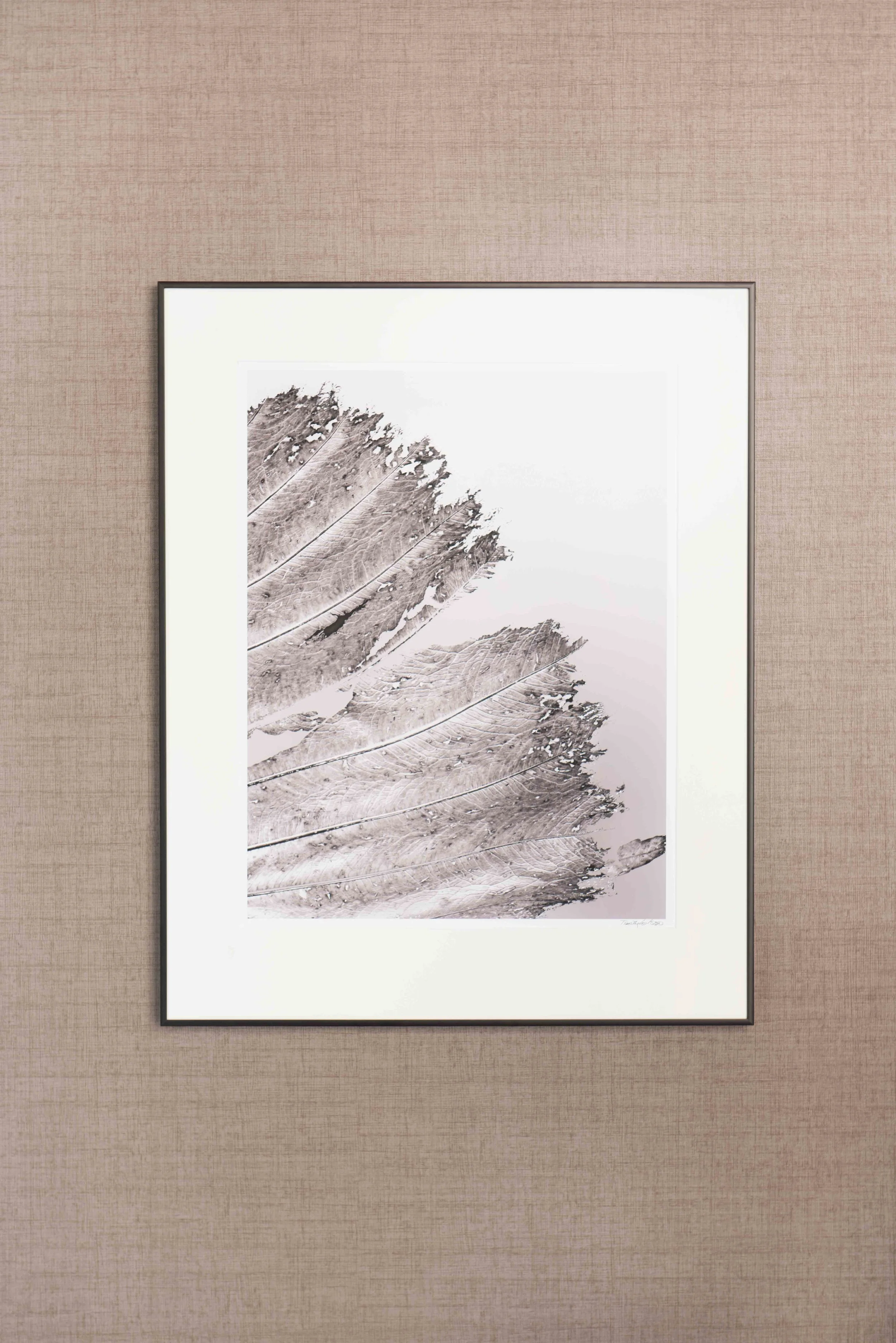Rain Forest Leaf