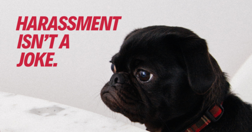 harassment+puppy.png