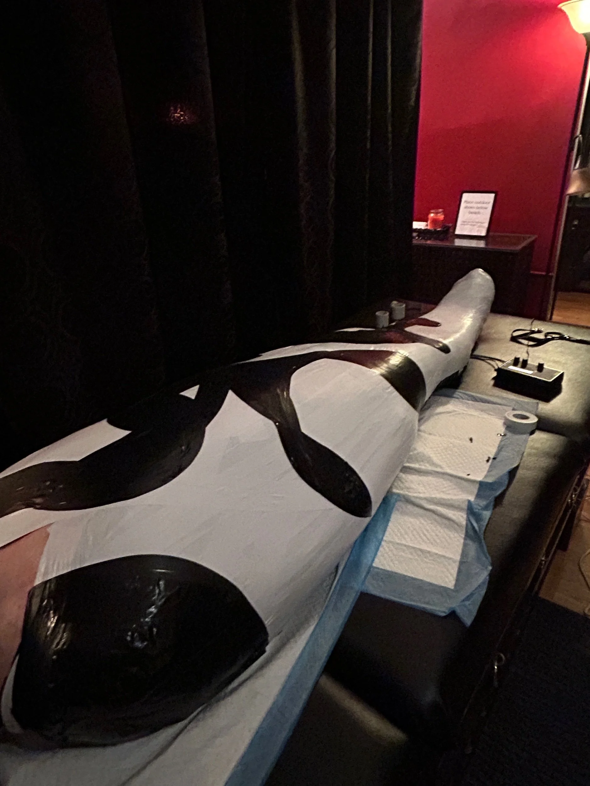 IMG_2064.jpeg